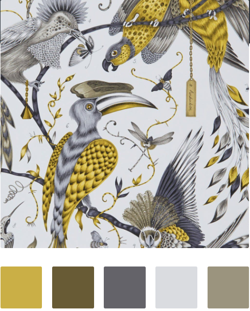 Ochre.png