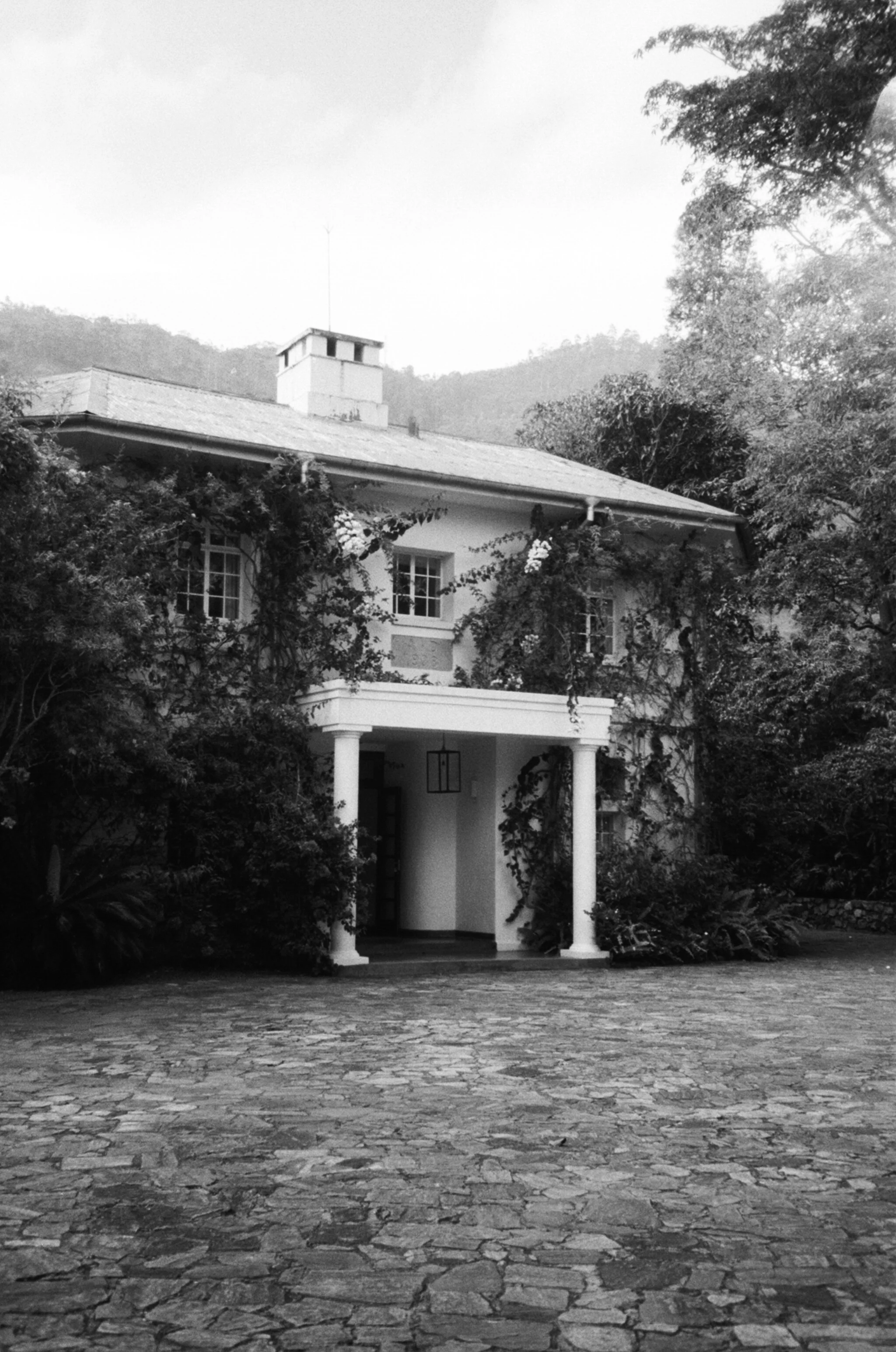 The Planter's House