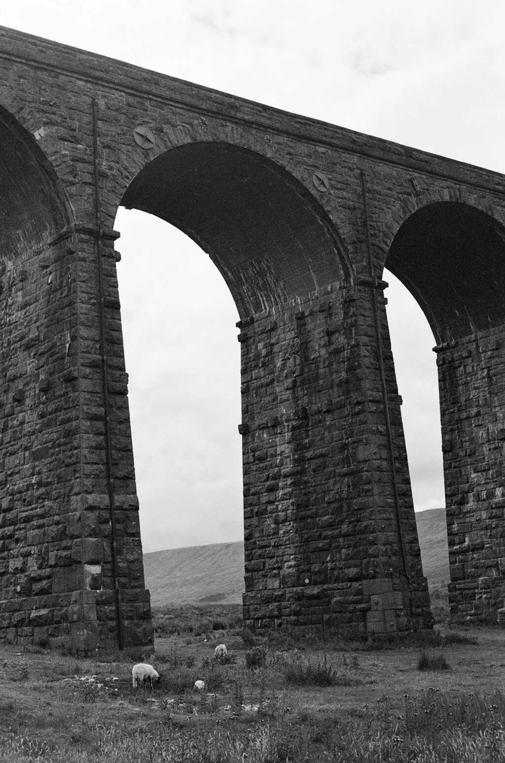 Yorkshire on film
