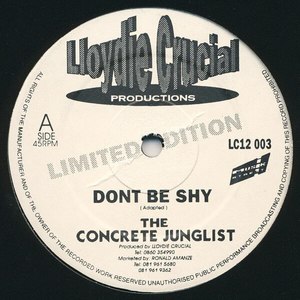 the concrete junglist - dont be shy 