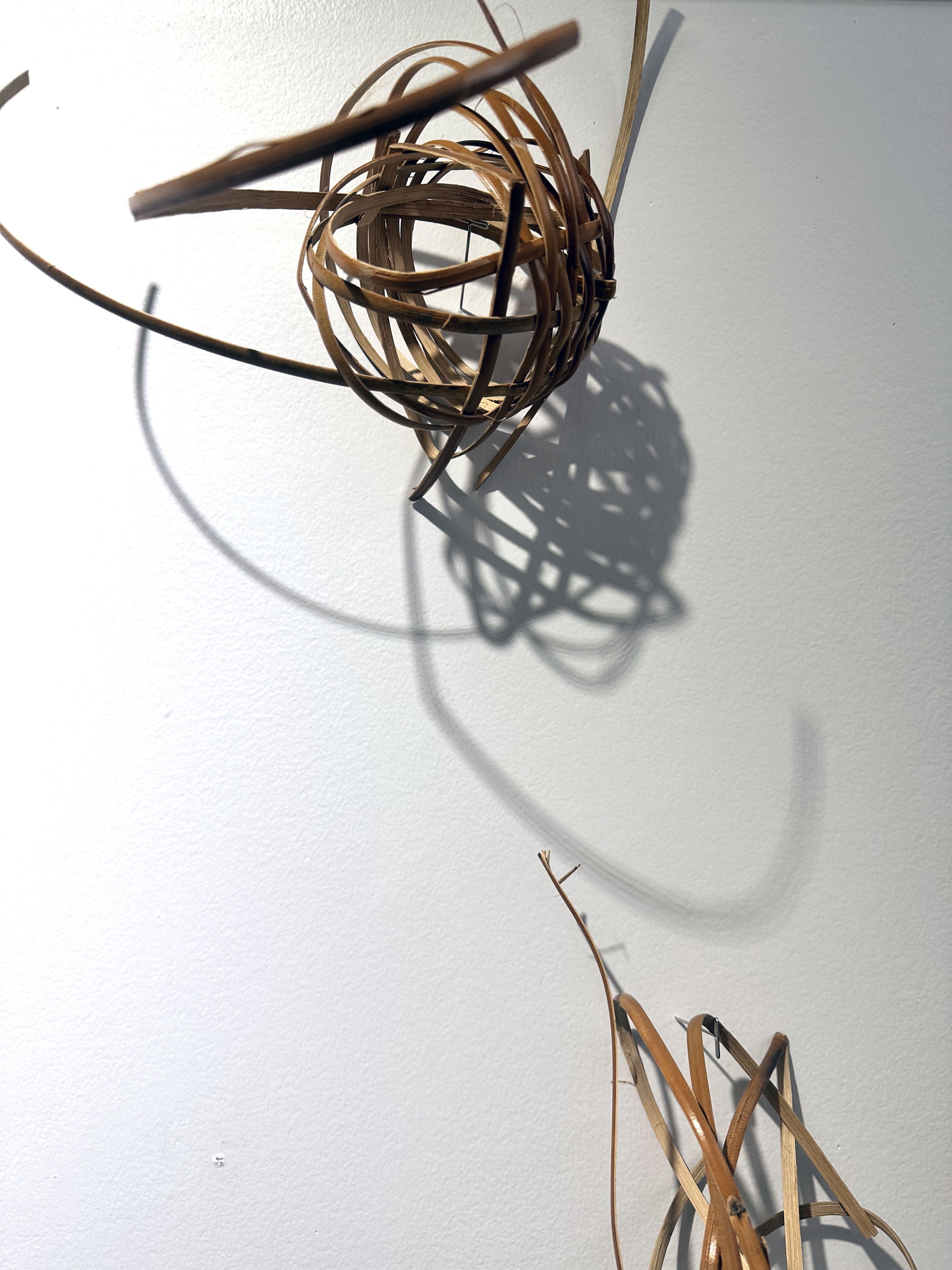 airplants2.jpg