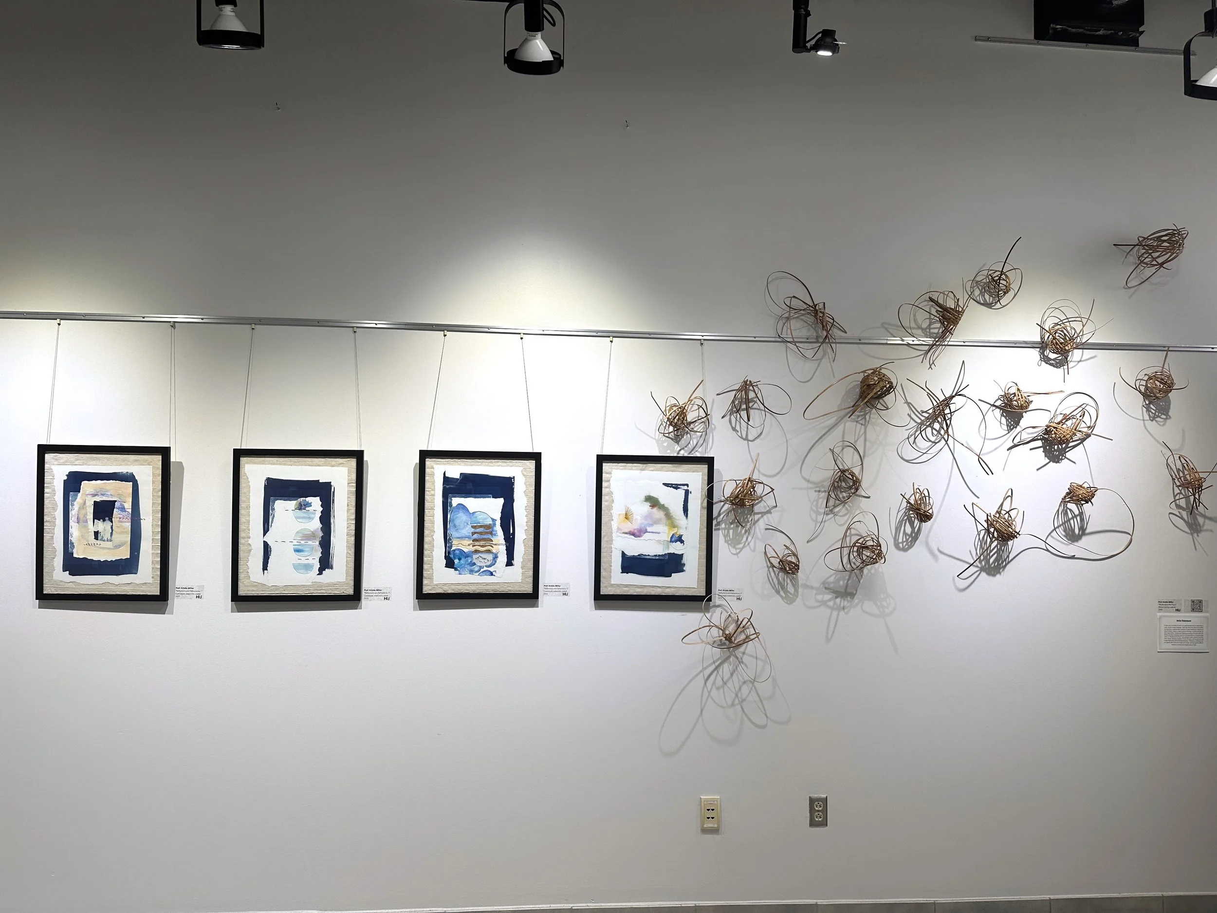  “Nature of Light” wall install at PBSC 
