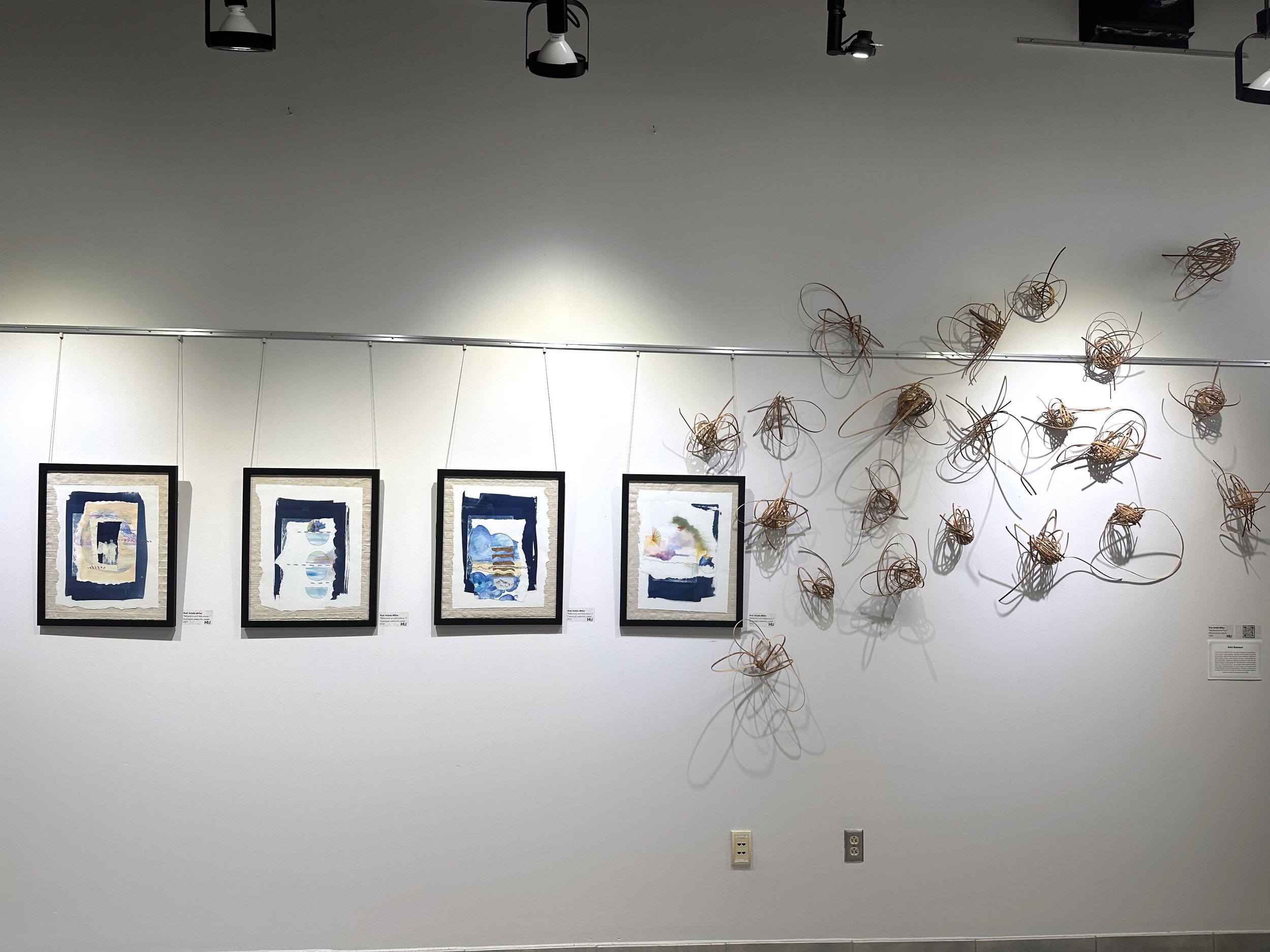 natureoflightinstall2.jpg