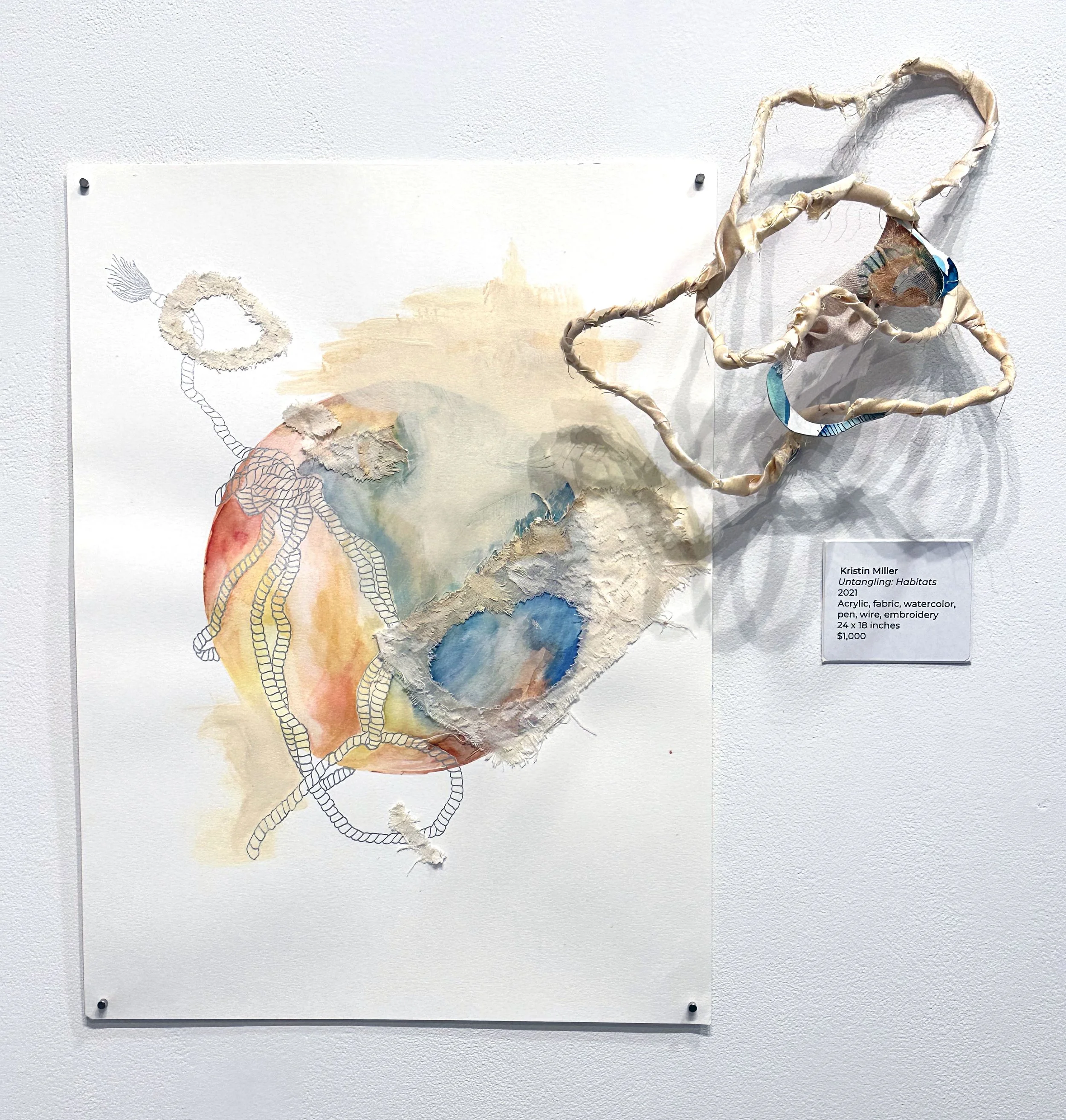 "Untangling: Habitats" (2021)  2D: Acrylic, fabric, watercolor, pen 24x18"   3D: fabric, wire, embroidery 12" x 14" x 6"   