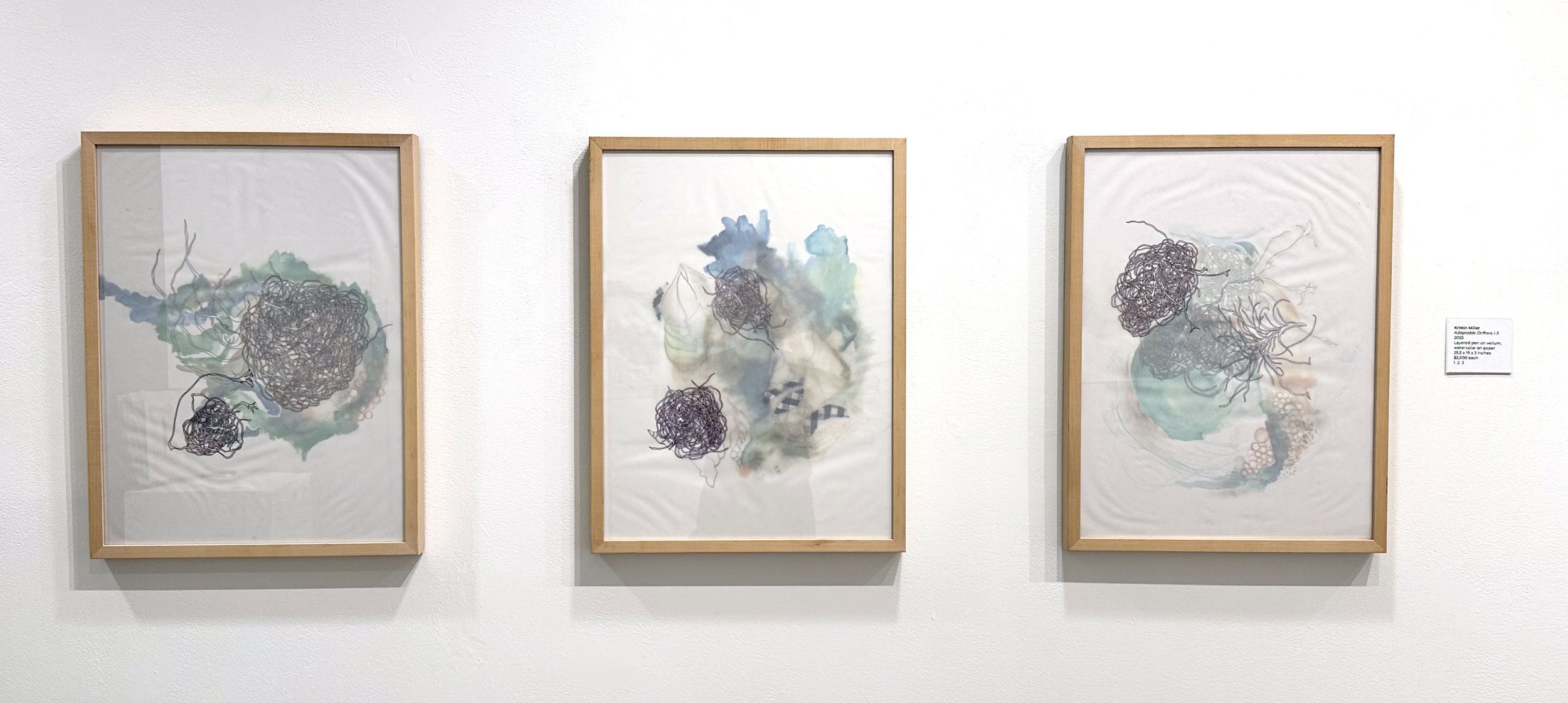 4daptableDriftersDrawingonlayeredvellum,watercolor24x30each2023.jpg