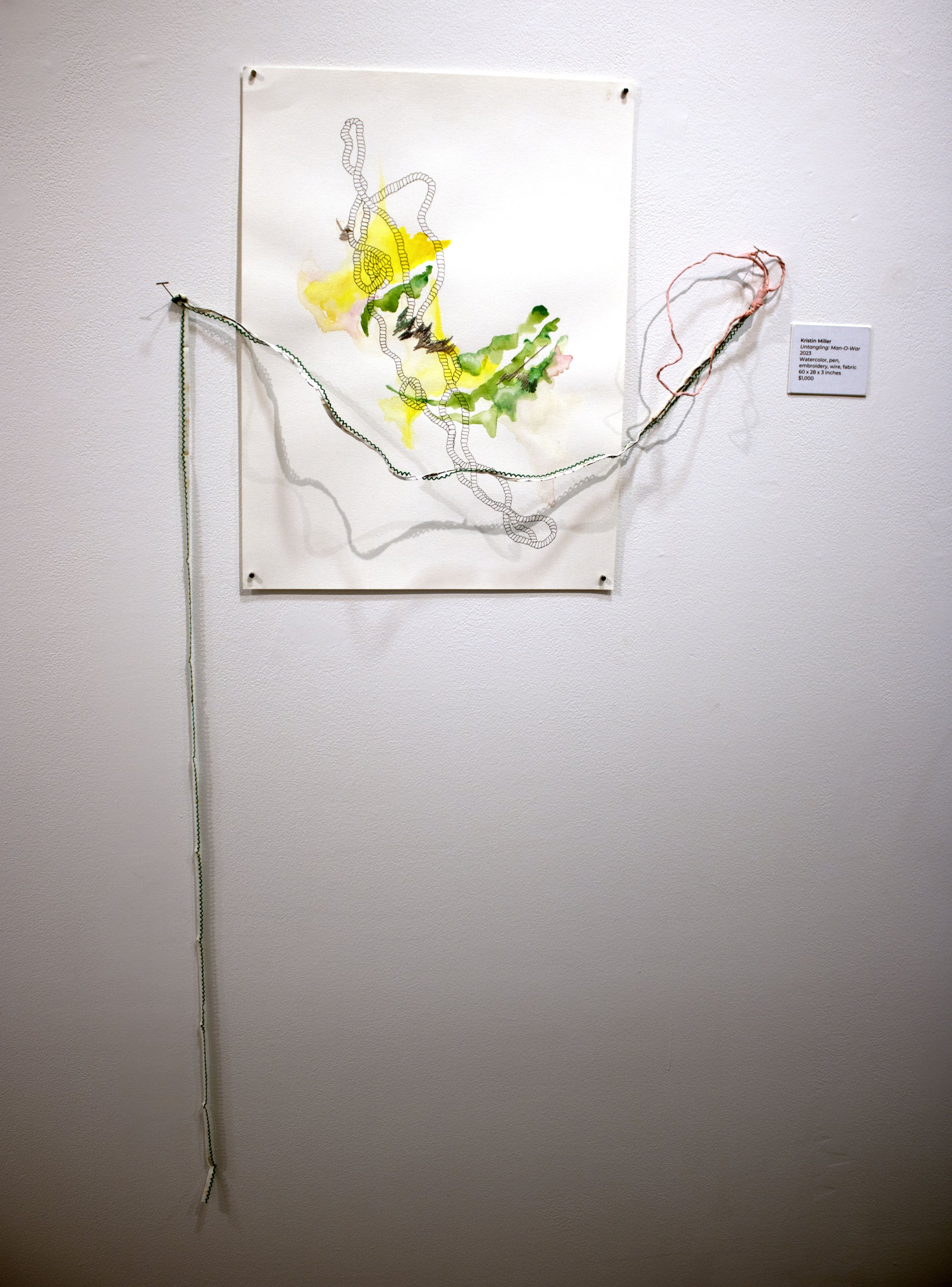 "Untangling: Man- o - War" 