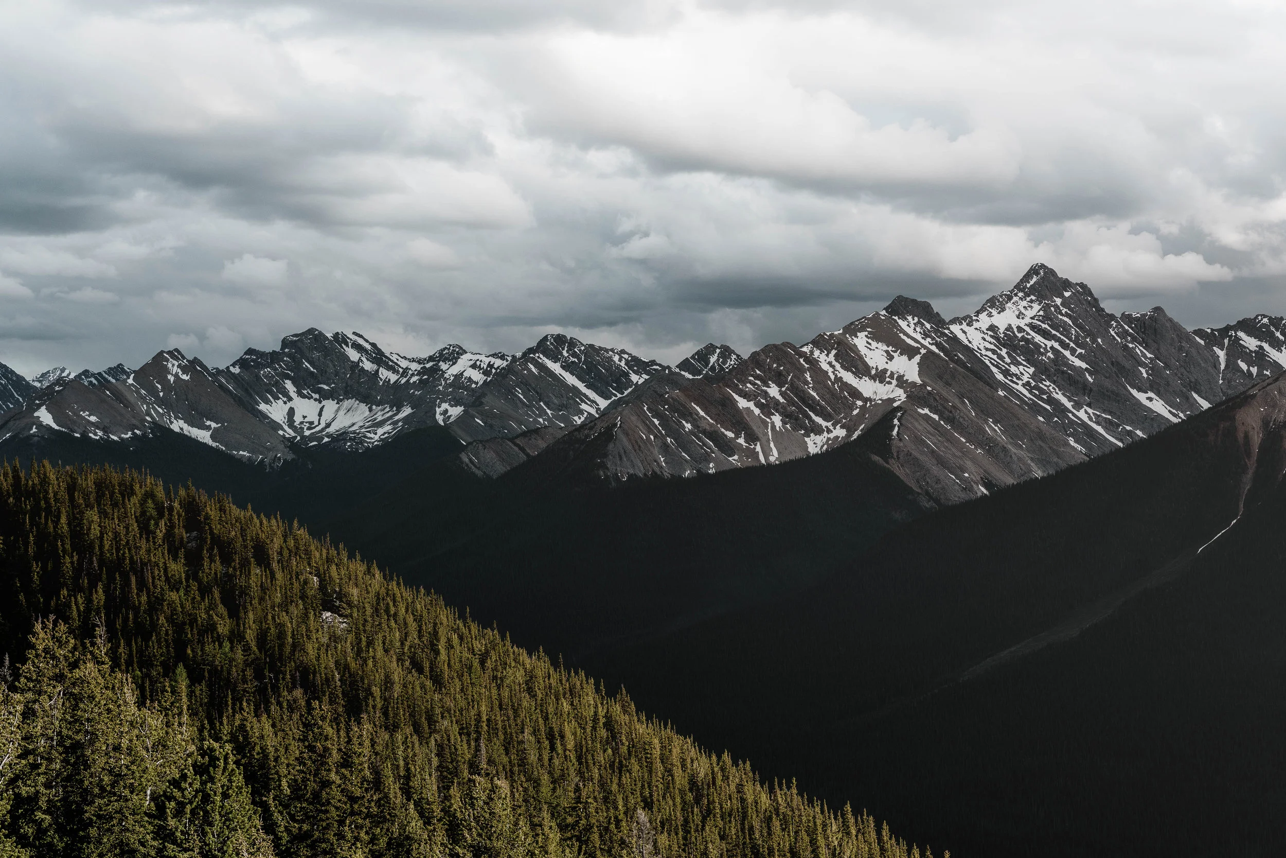 our premium listing package