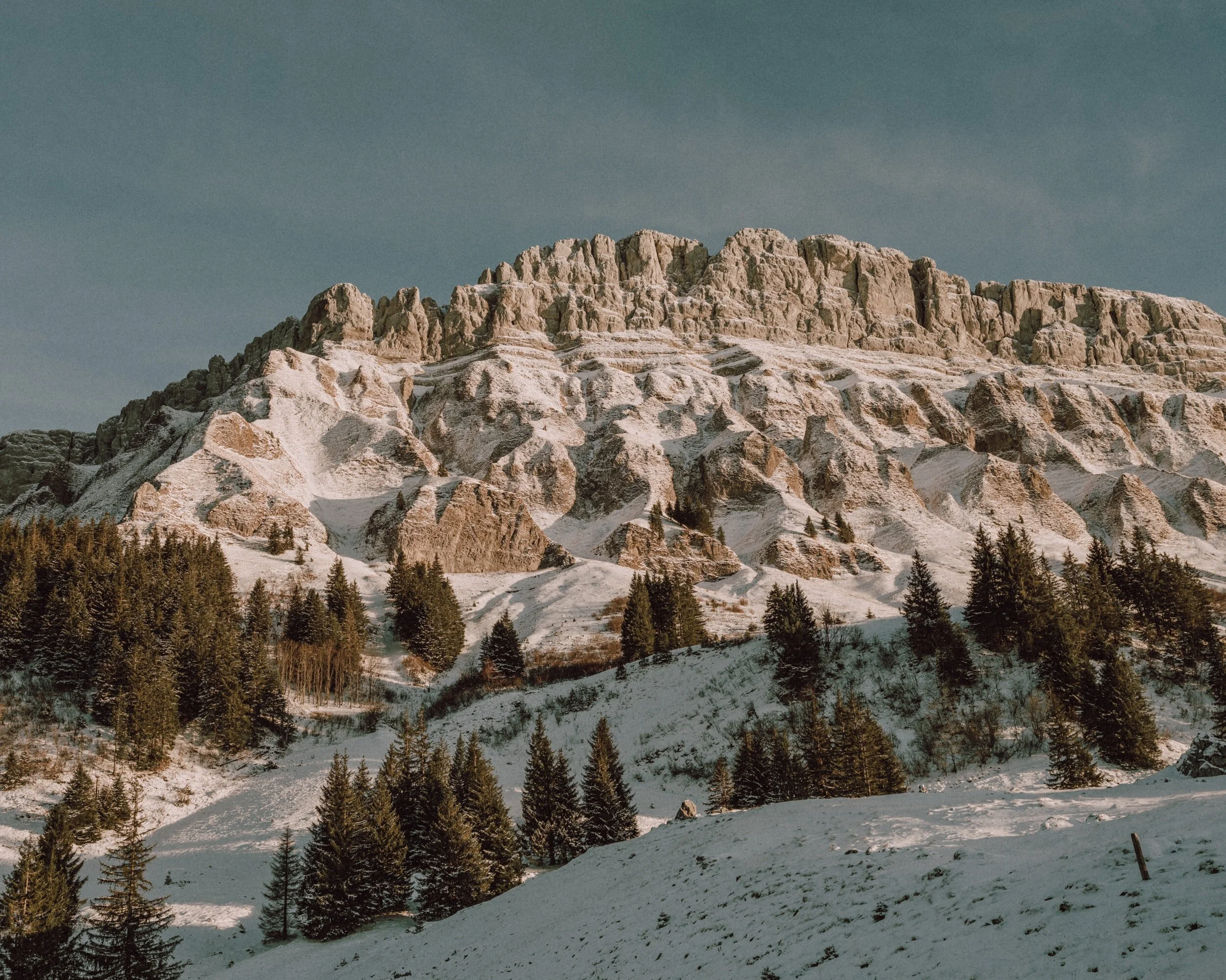 homebuilders in metro denver on track for an unexpectedly stellar year, despite pandemic