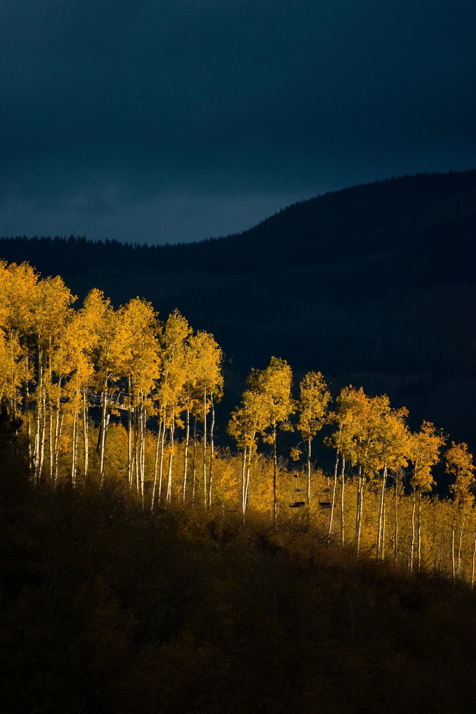 denver metro real estate market trend report 