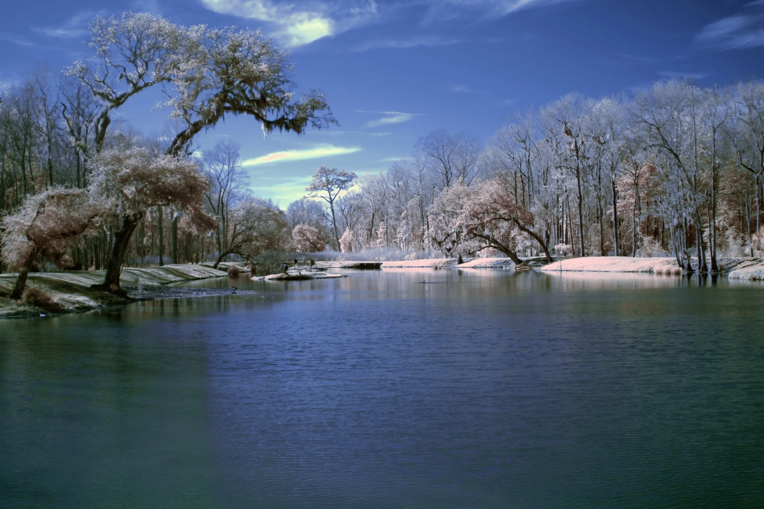 fourth quarter sales surge bolsters NY suburban real estate home sales market despite pandemic