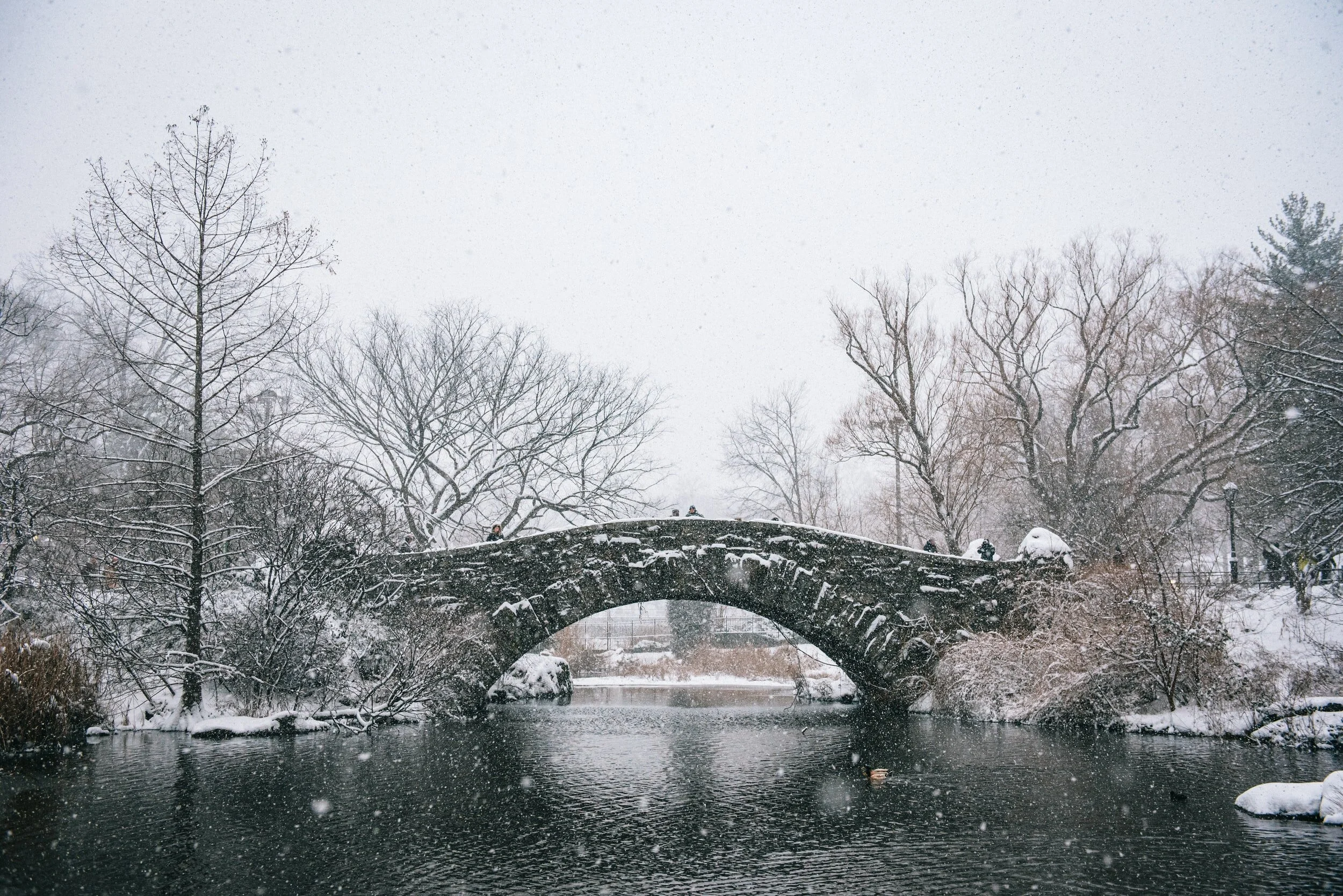 realtors overcame pandemic restrictions to post significant sales increases in 2020