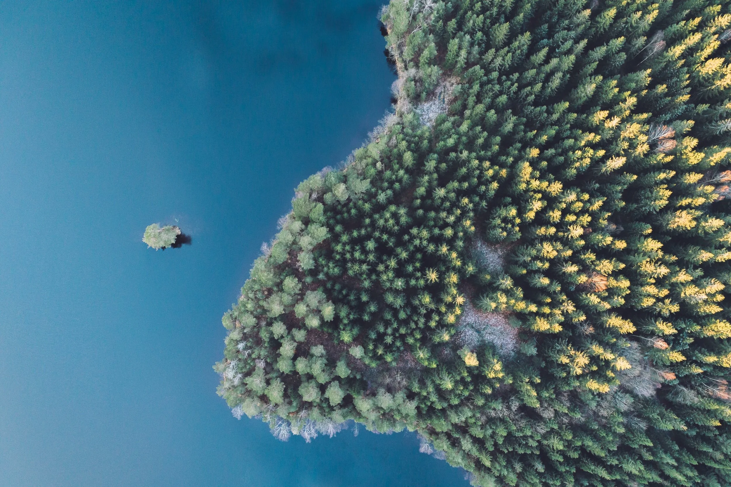 westchester businesses expect the unexpected in 2021