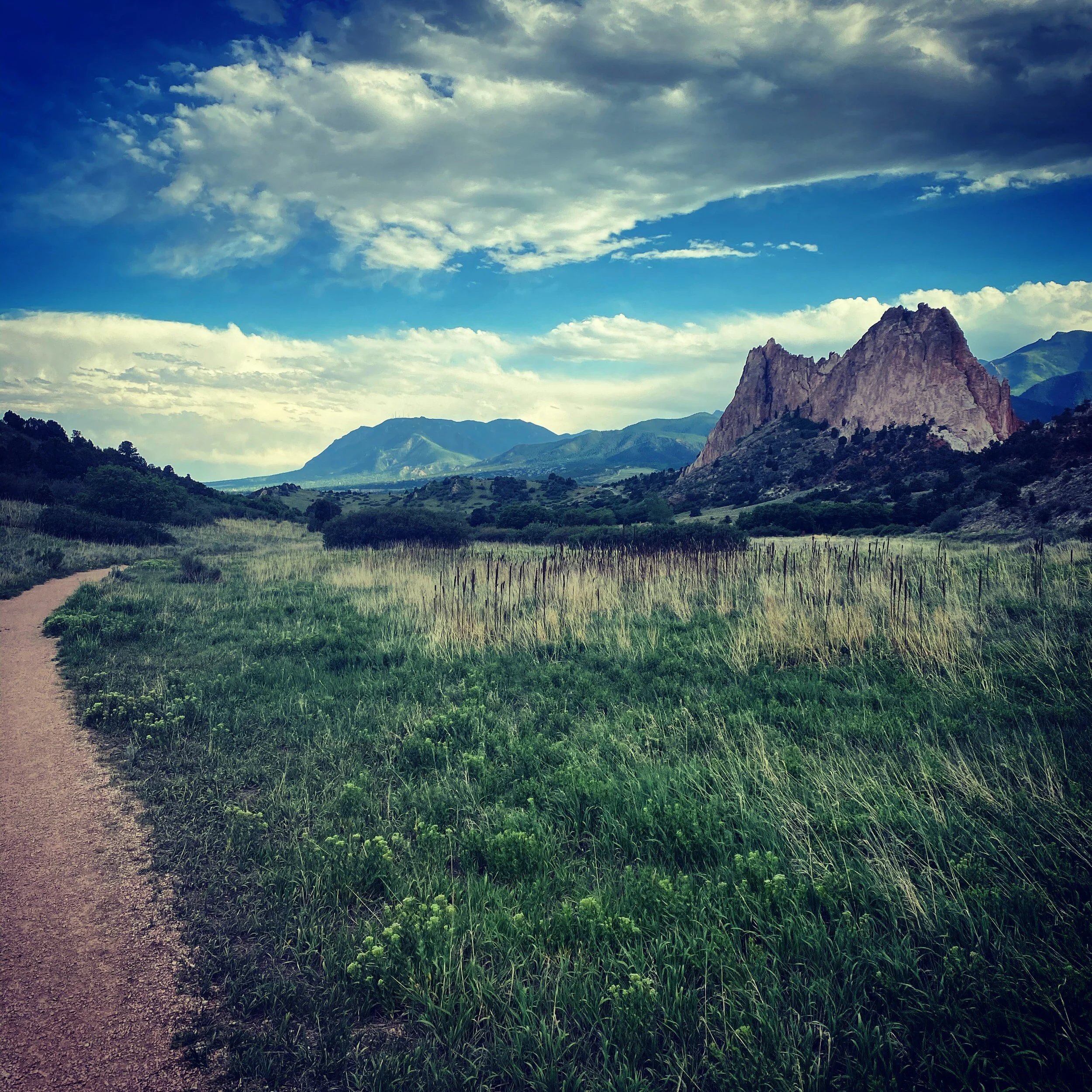 realtors are going to extreme lengths to deal with denver’s crazy housing market