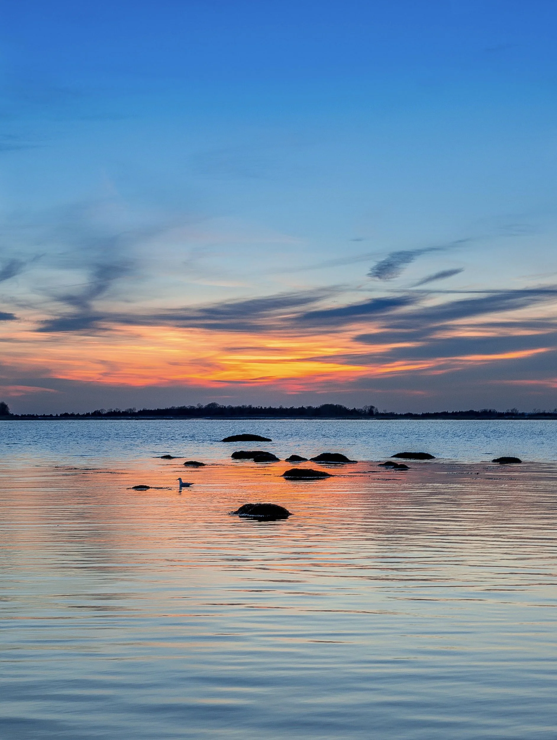 see which CT towns gained or lost residents in 2020 - and how parts of new york and new jersey fared