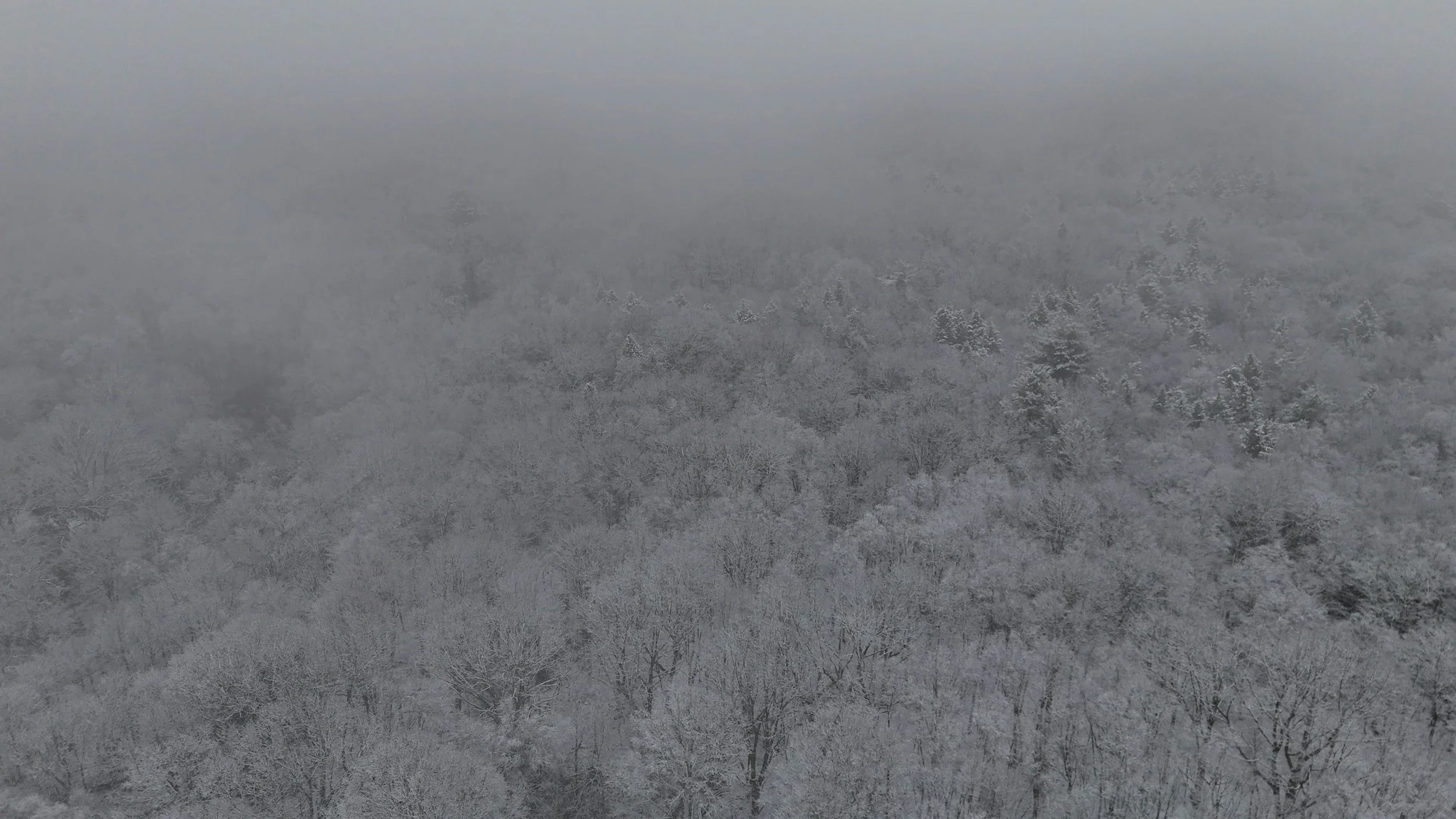 this capital city is now the hottest housing market in the US for 2026