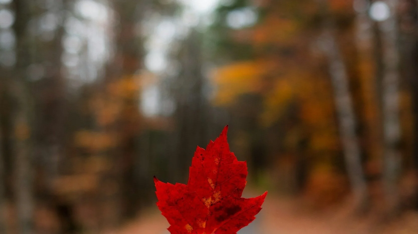 housing market predictions for 2025: when will home prices drop?  