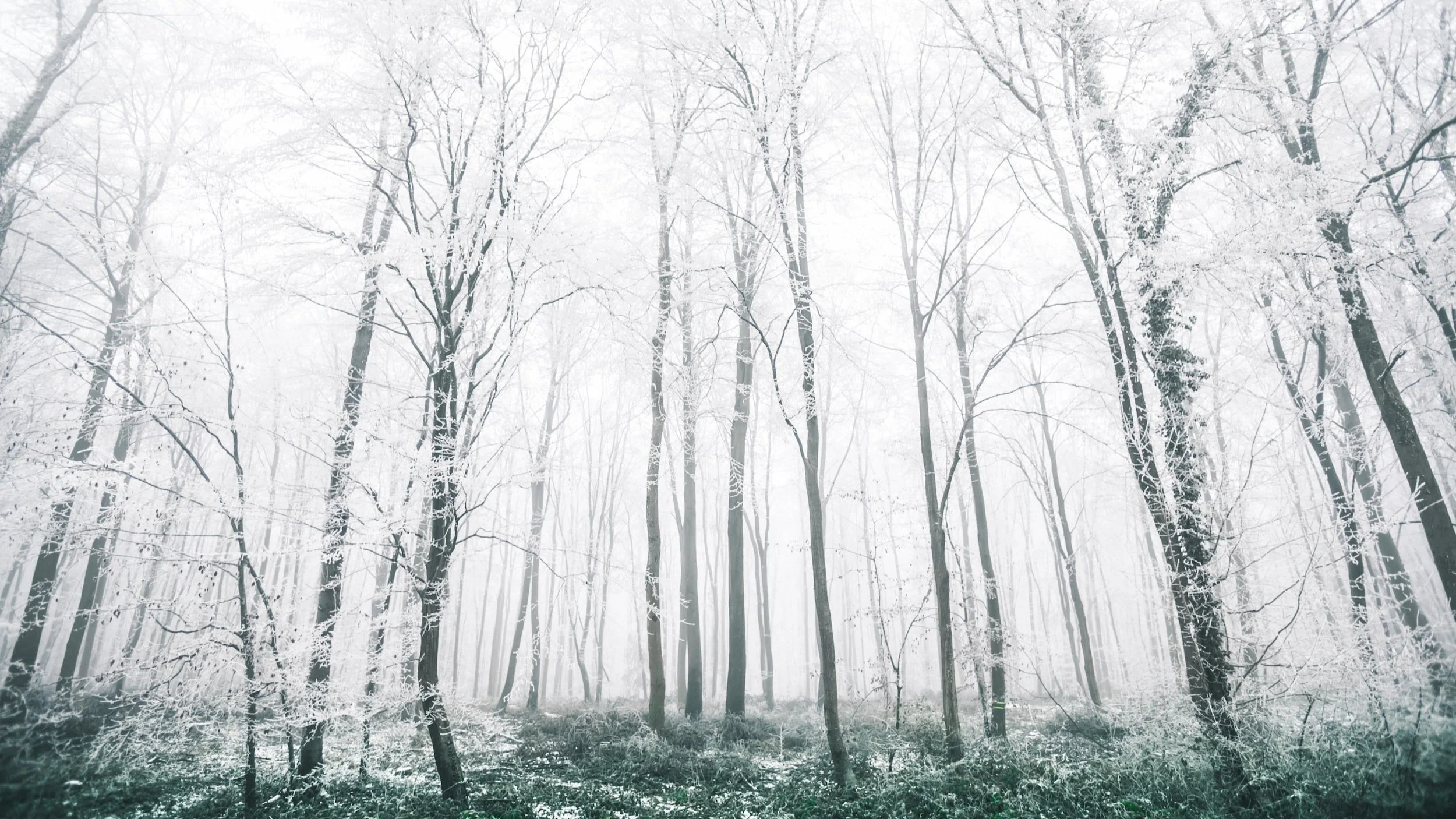 why connecticut’s real estate market is still hot