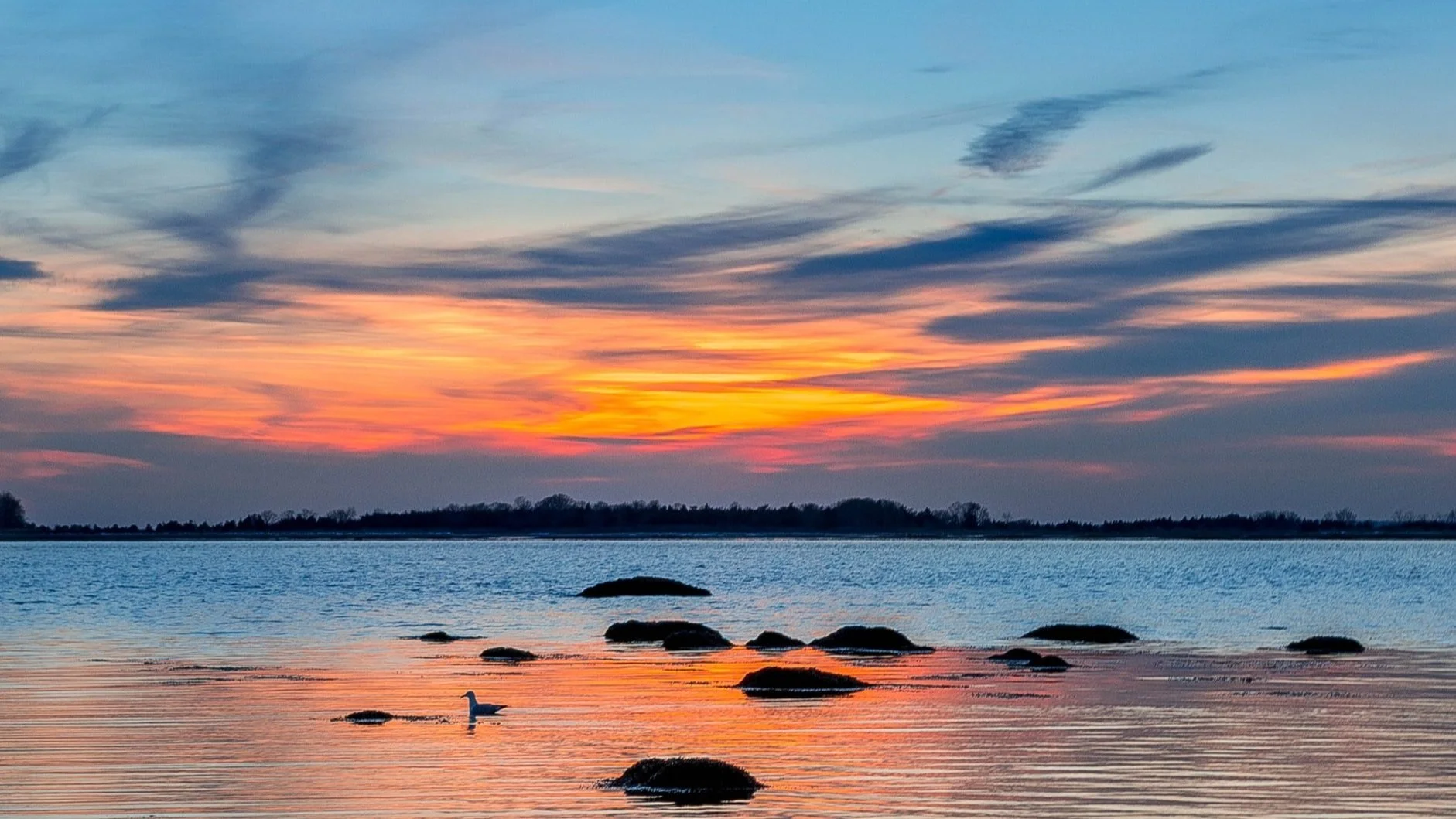 in one town, 50 offers for a house — but CT real estate bidding wars finally flattening