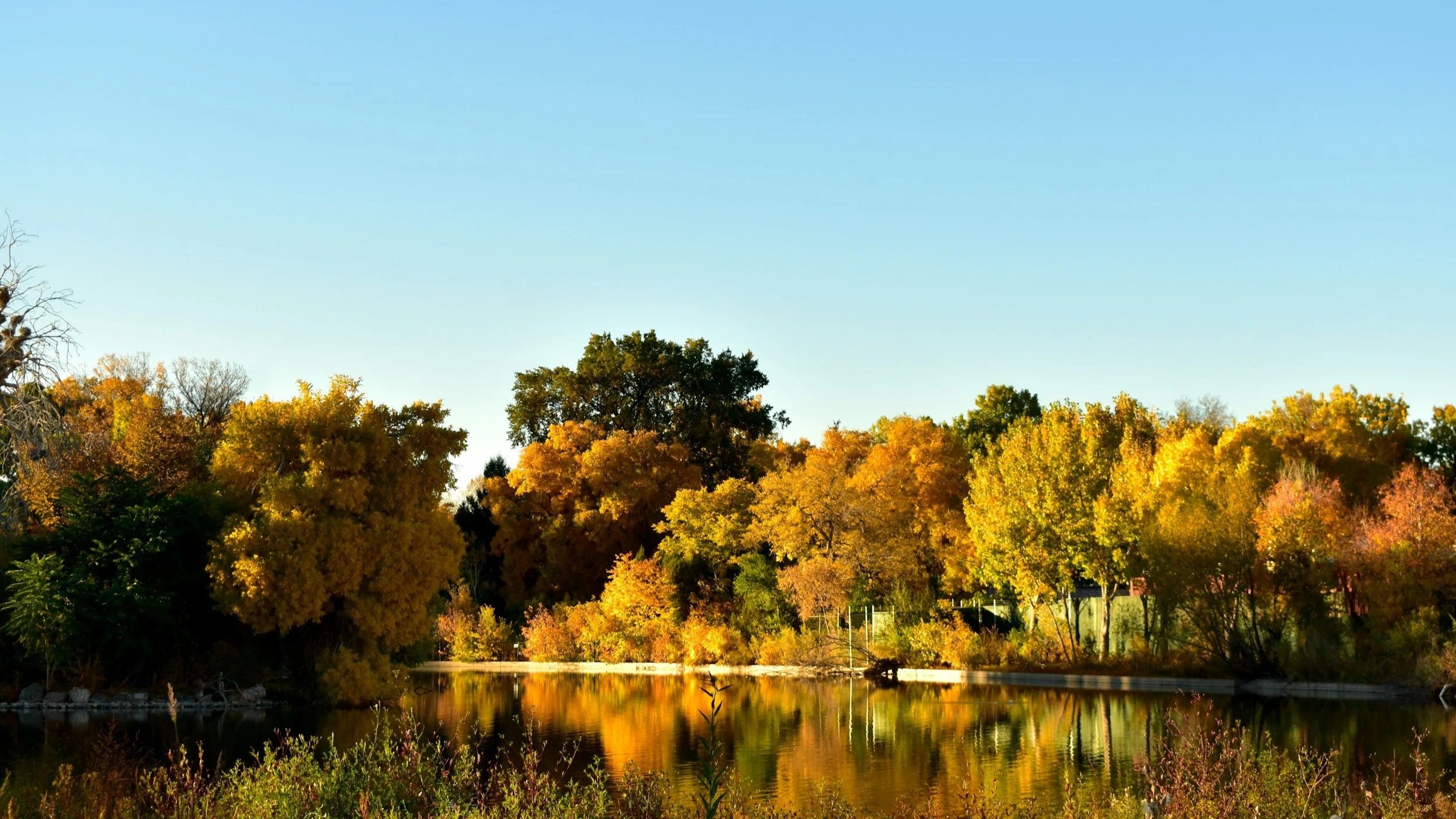 is denver’s condo market unraveling?