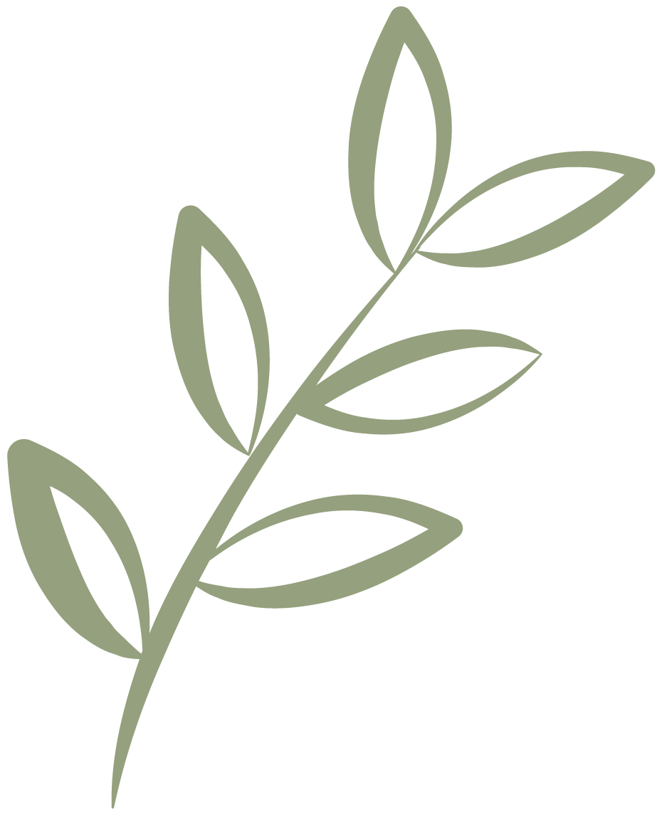 éléments_plante 3 - vert.png