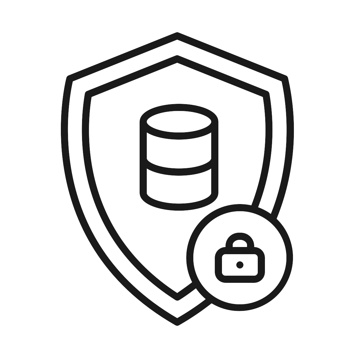noun_data privacy_1815164_1A1A1A.png