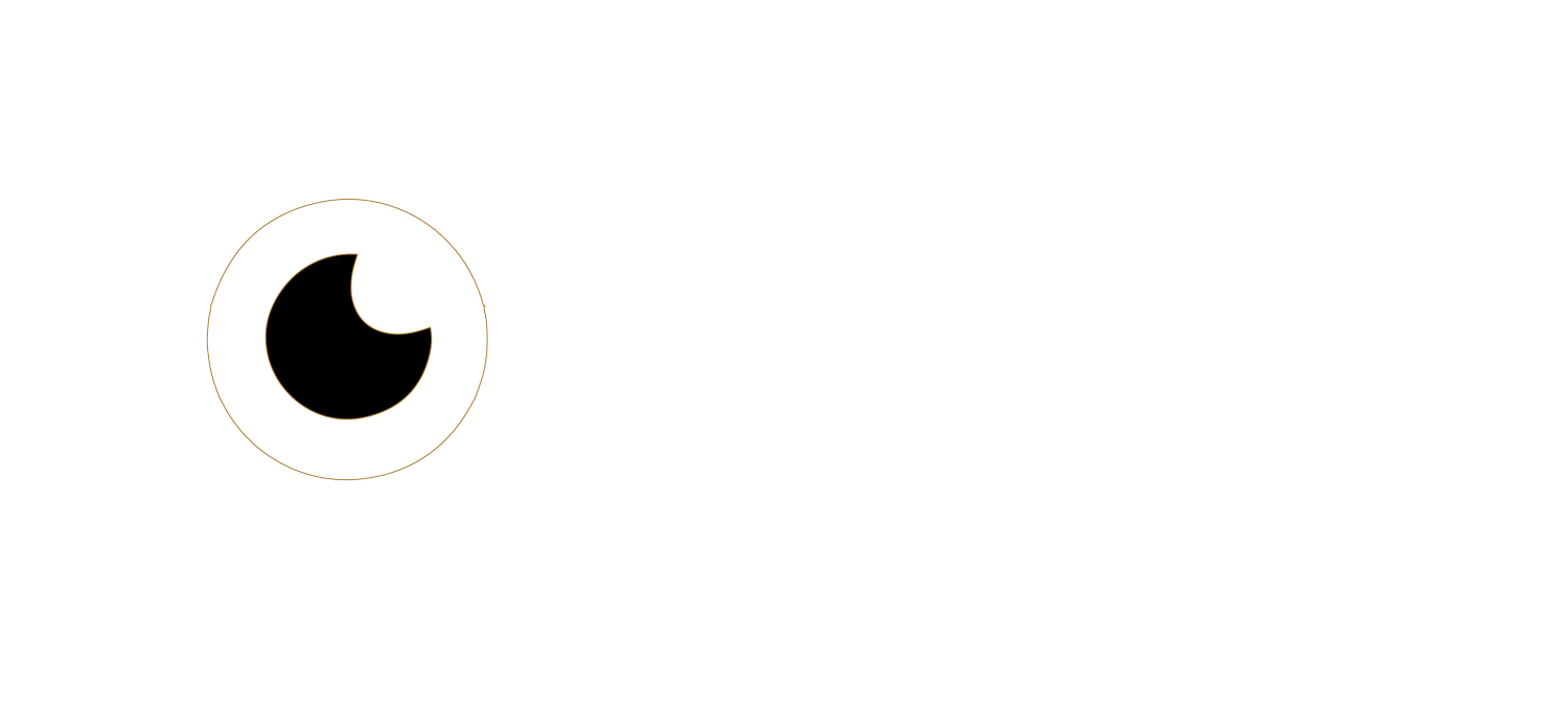 obsidian visions