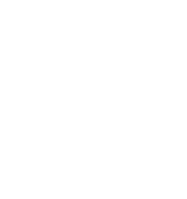 Wegmann and Associates
