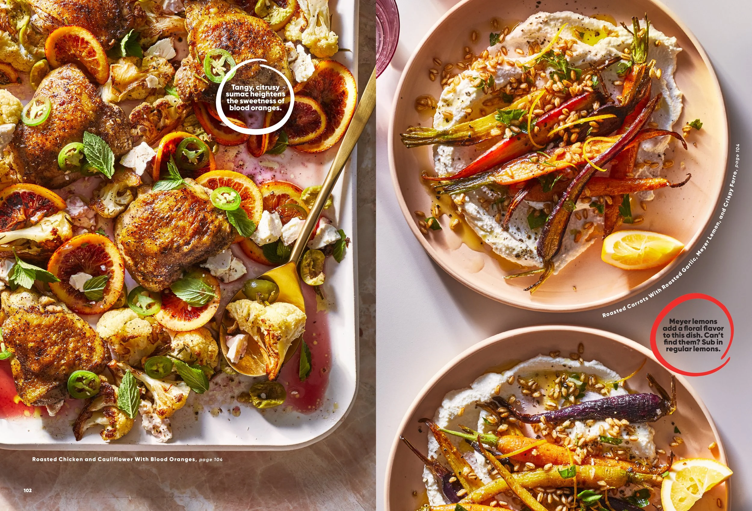 102-103_SHA0220WFOOD.jpg
