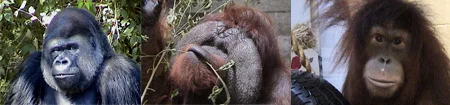 zoo.jpg