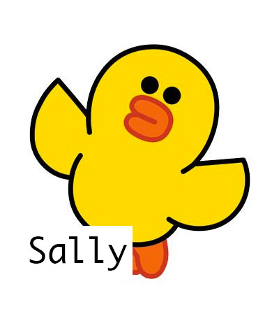 sally.jpg