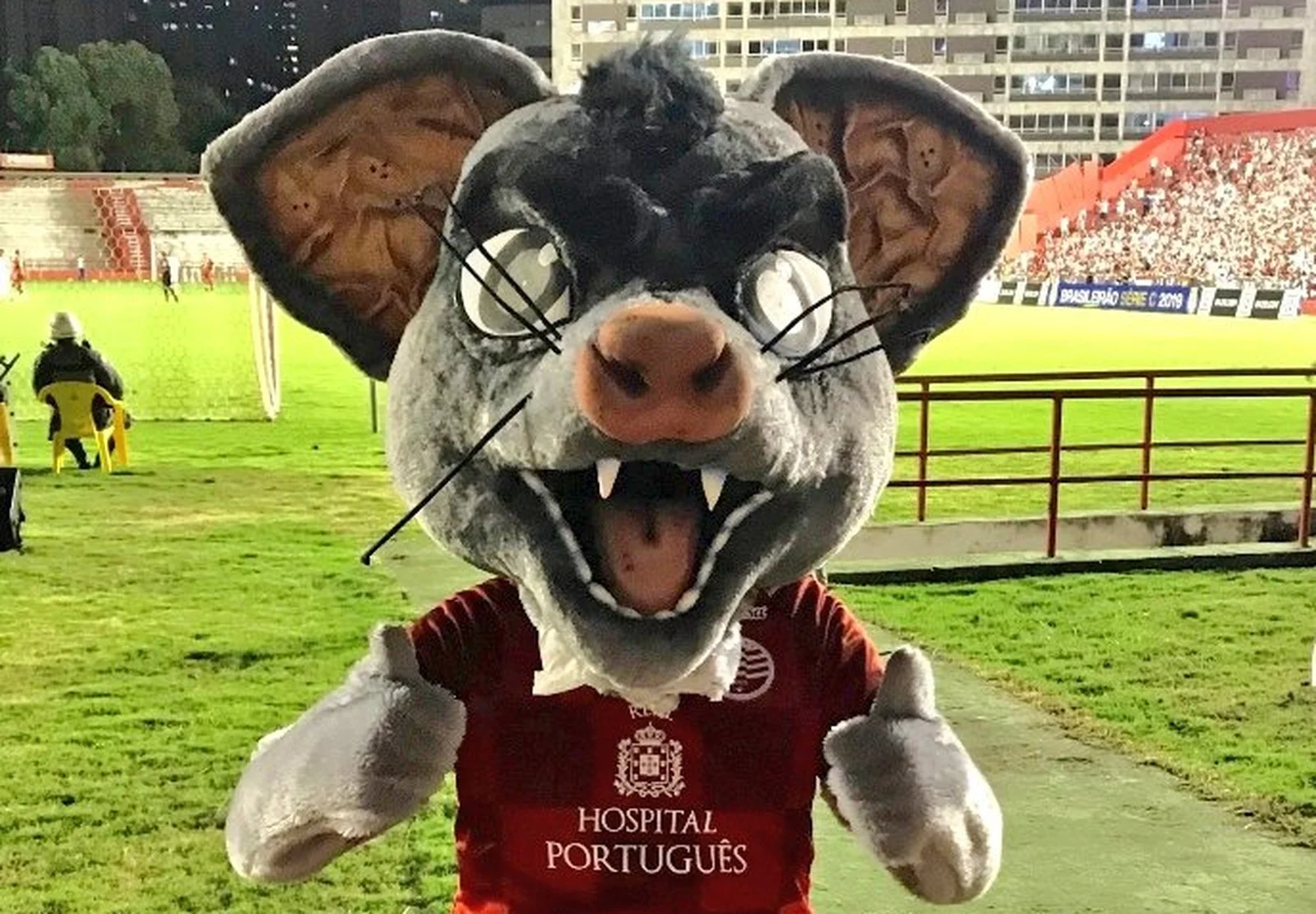 mascote_nautico_timbu.jpg