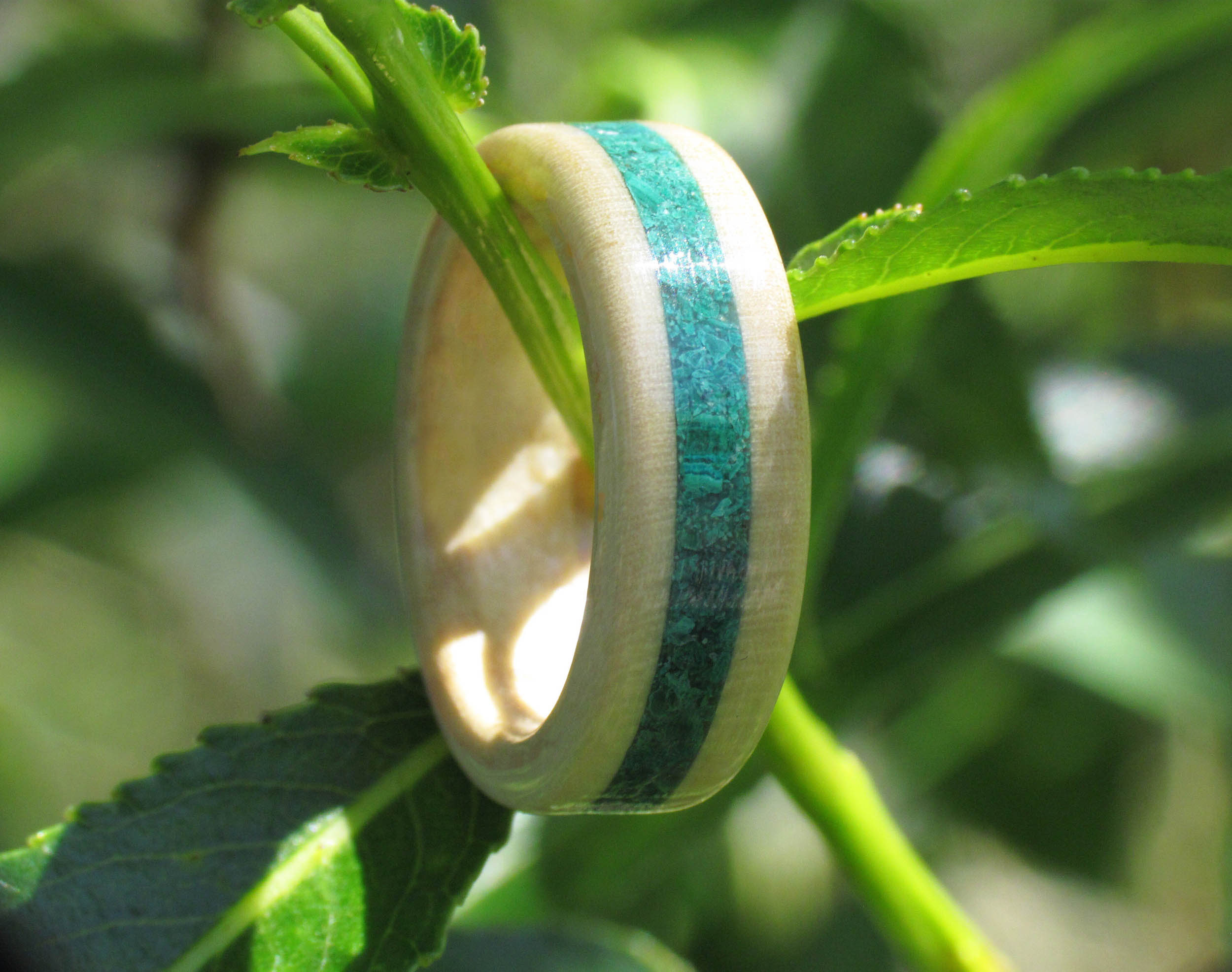 Willow Rings