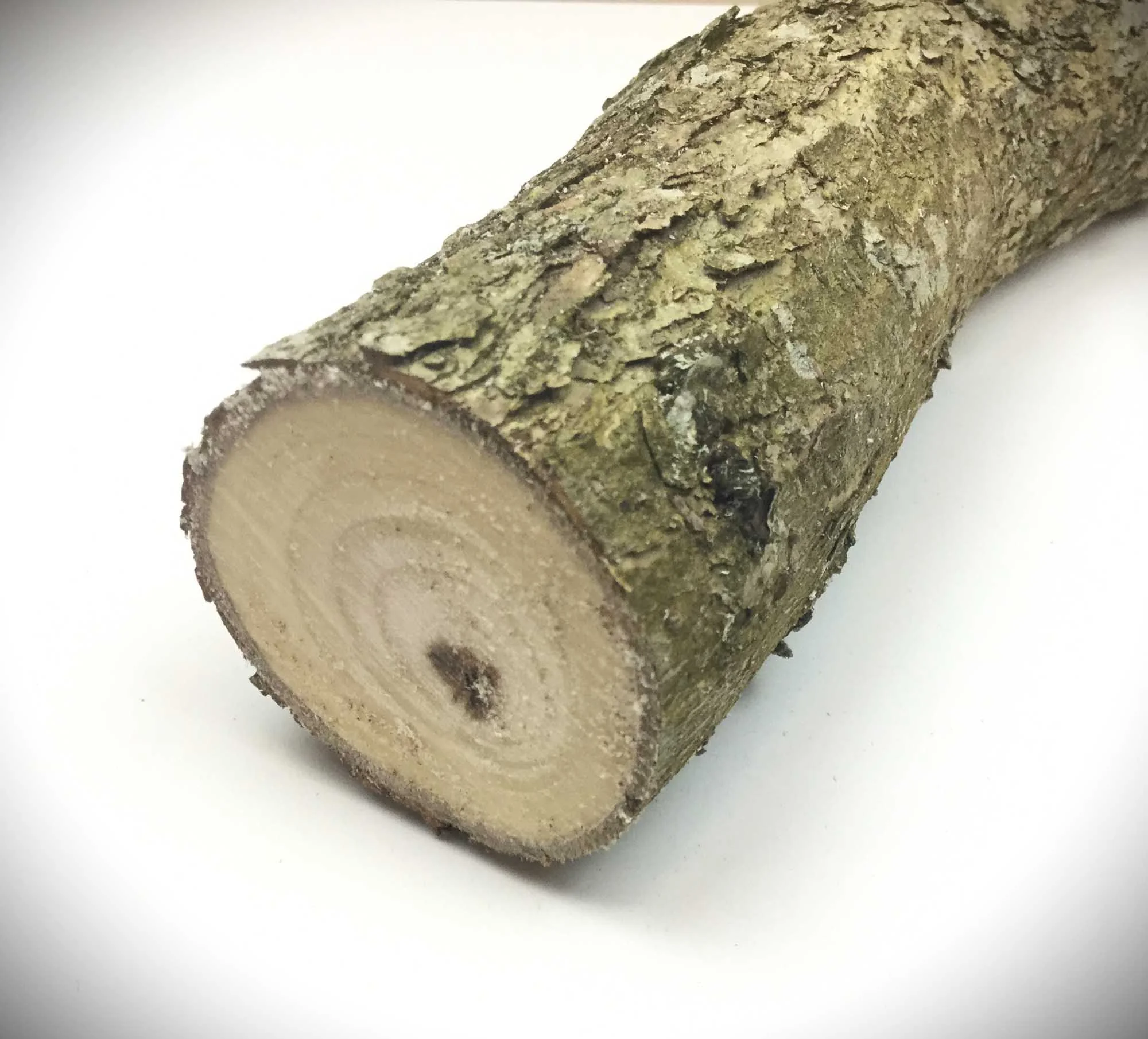 Willow Wood Bookmark — The Wood Hut Beautifully Handcrafted Wooden Rings, Jewellery and Gifts