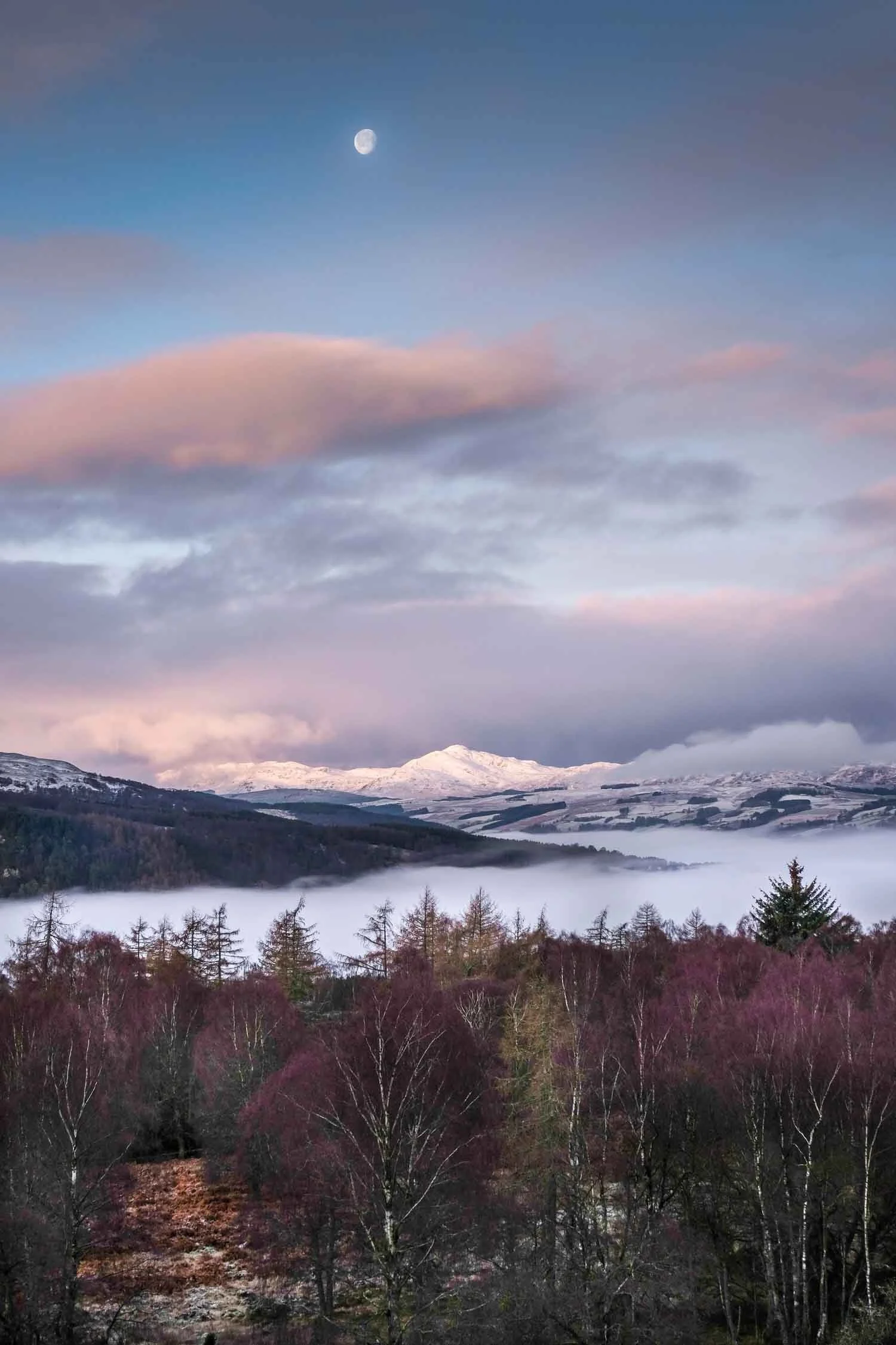 Tay Valley Winter Dawn (Portrait)