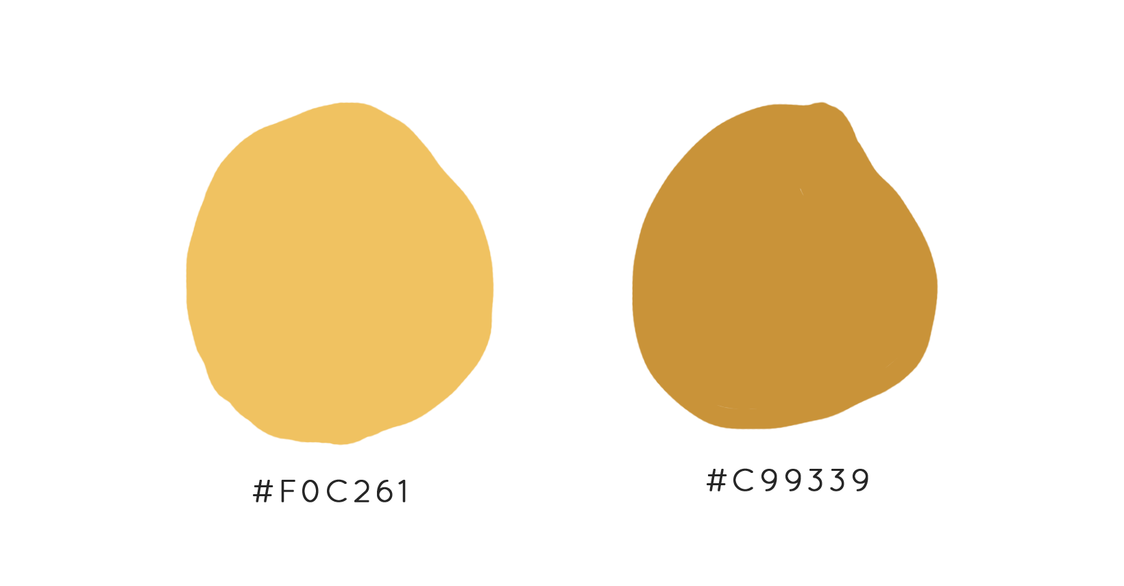 coolor-swatchs.png