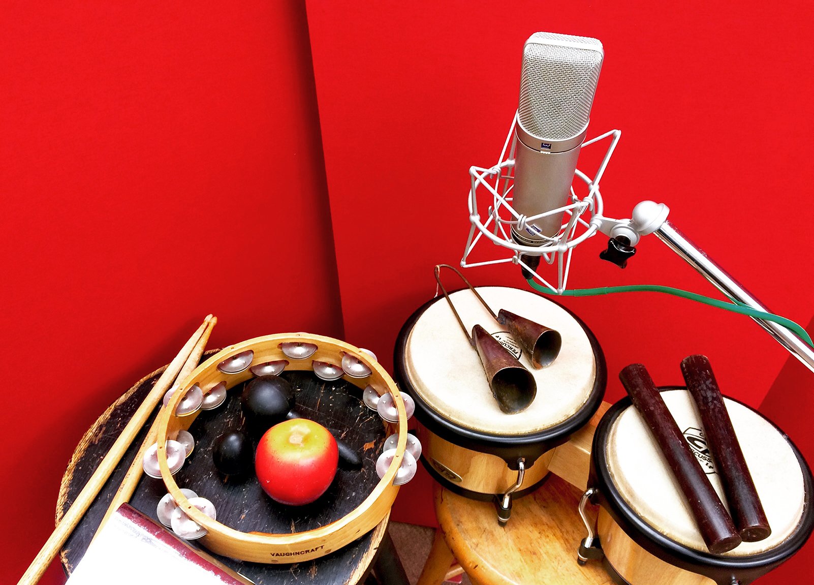 Percussion and Mic.jpg