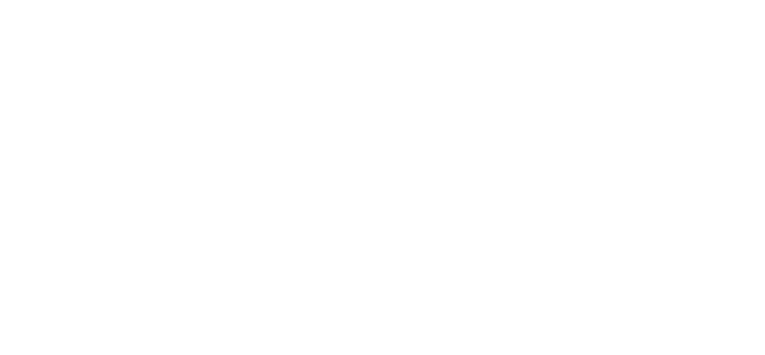 Electric Eye Multimedia