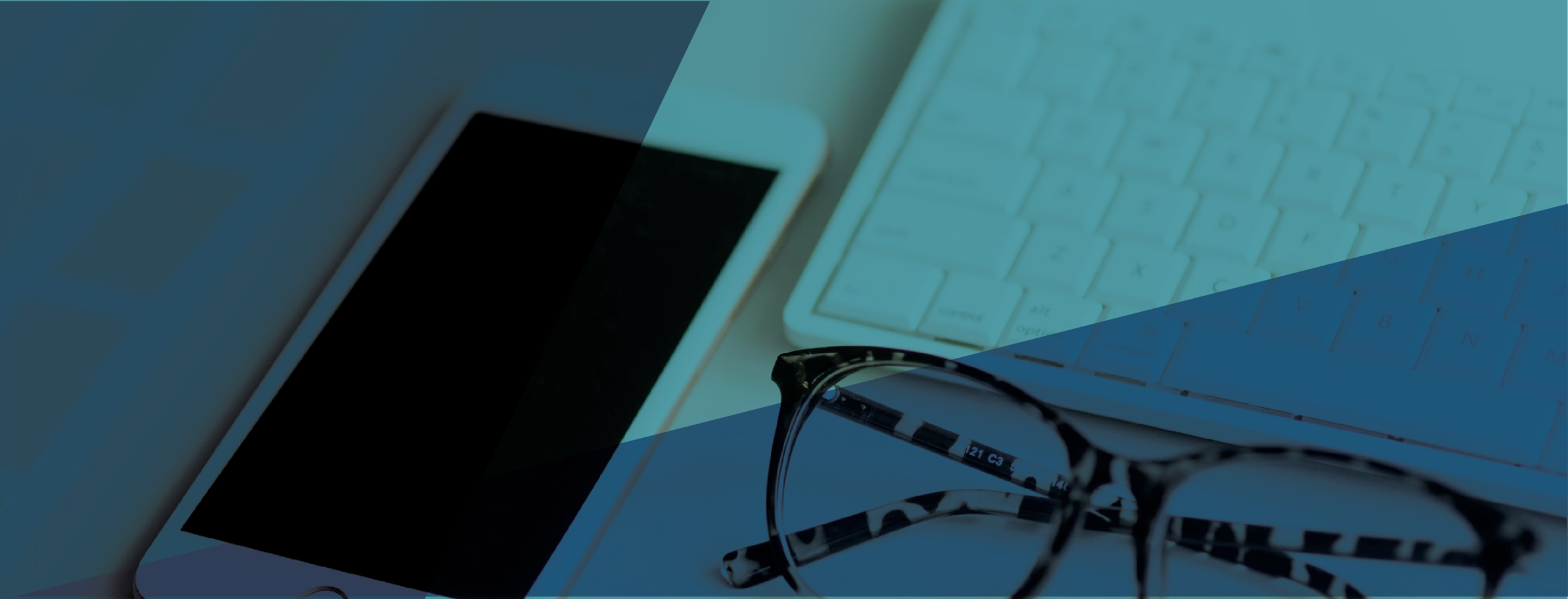 Header_DeLisaCarol_Website_Online Course II.png