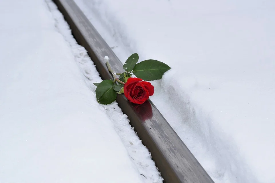 rose.jpeg