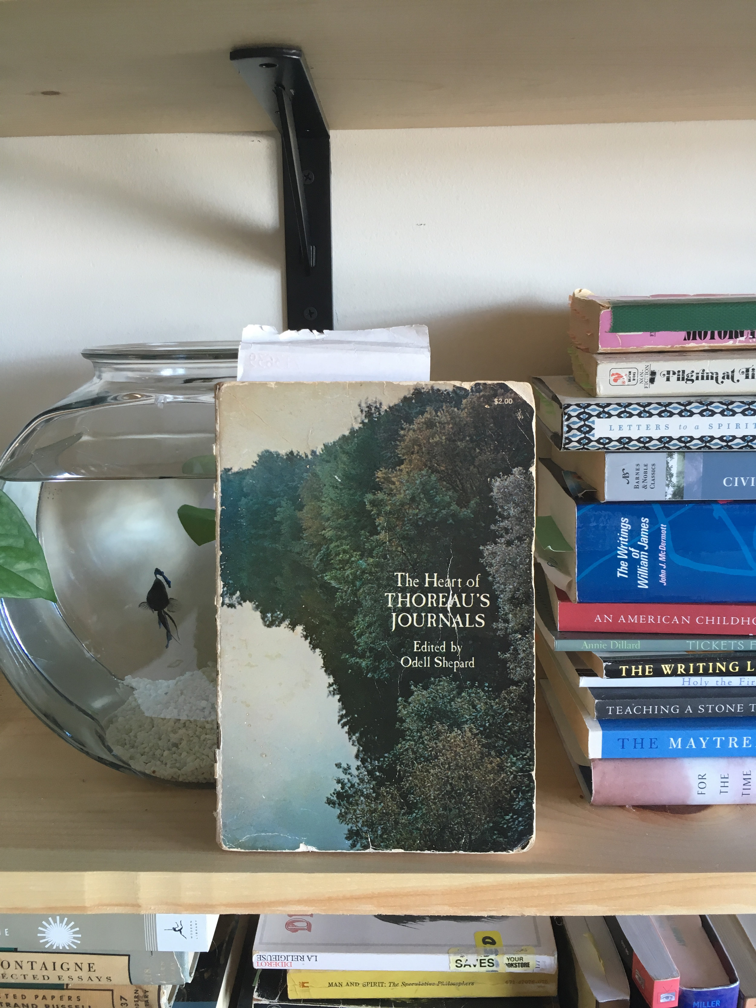 Thoreau's Journals.jpg