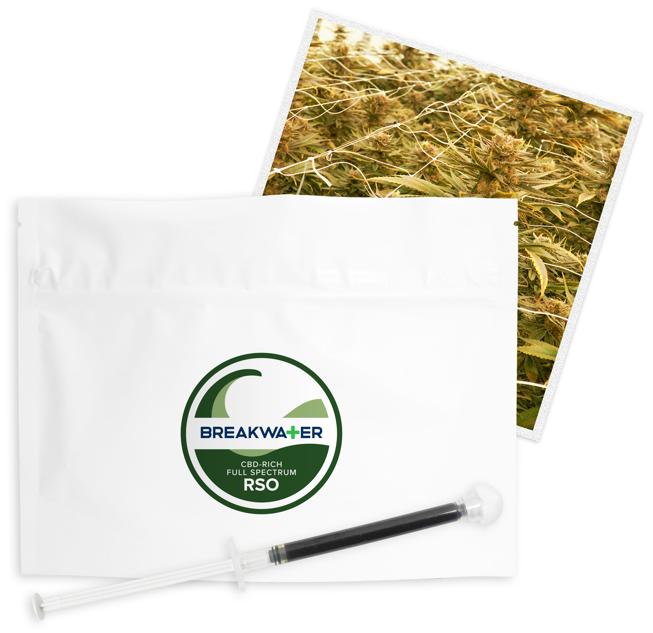 CBD-Rich Full Spectrum RSO Package and Dispensaer with cannabis grow room in the background