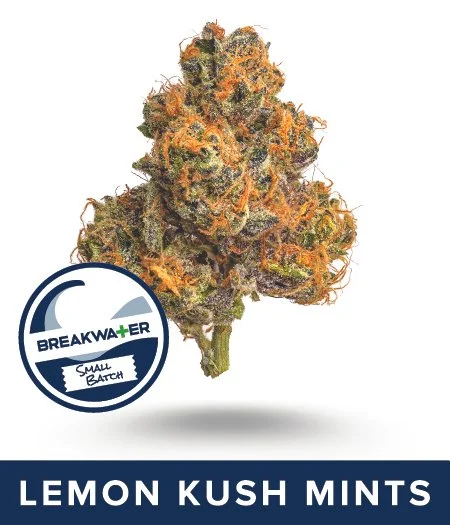 LEMON KUSH MINTS Premium Flower. Small Batch Strain. Link to full description.