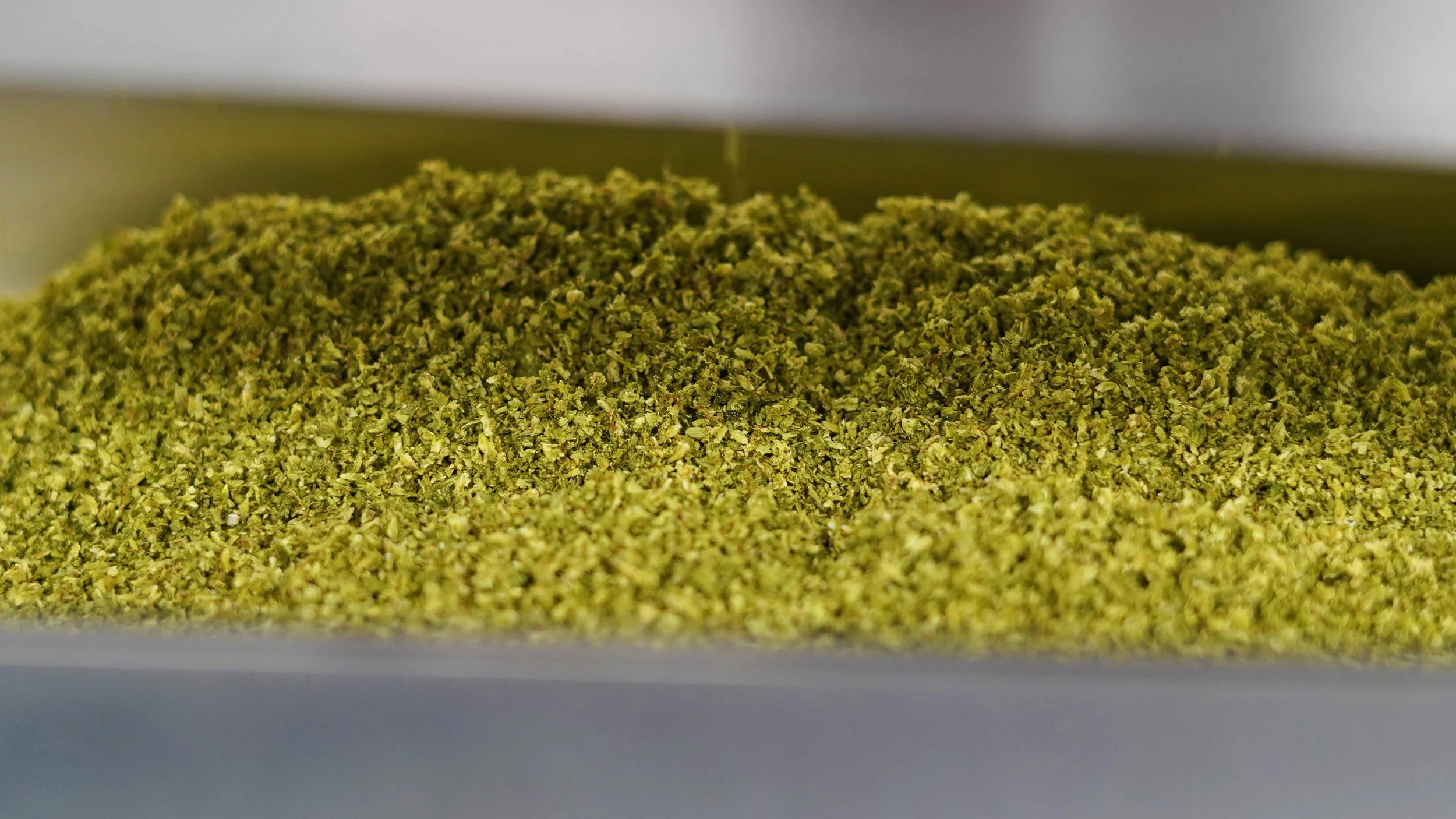 PREMIUM ROLLED JOINTS — Breakwater Treatment & Wellness