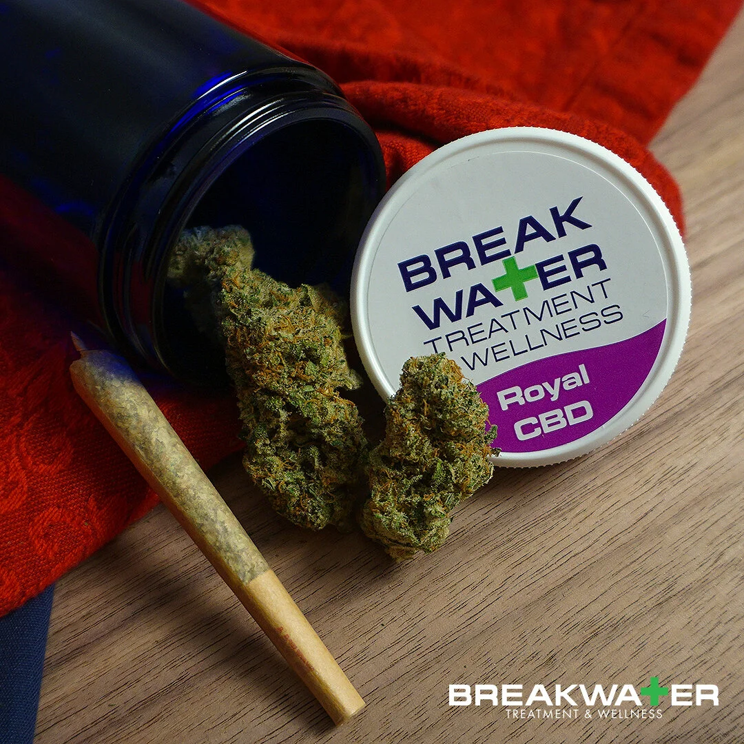 Royal CBD Premium Bud — Breakwater Treatment & Wellness