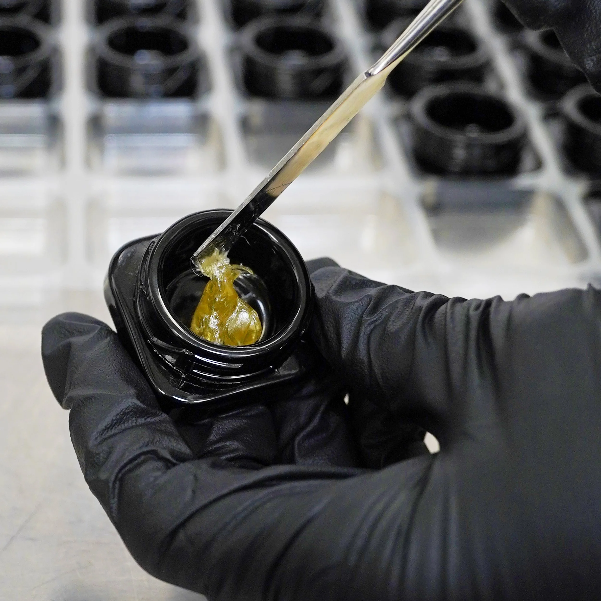 Packaging Live Hash Rosin