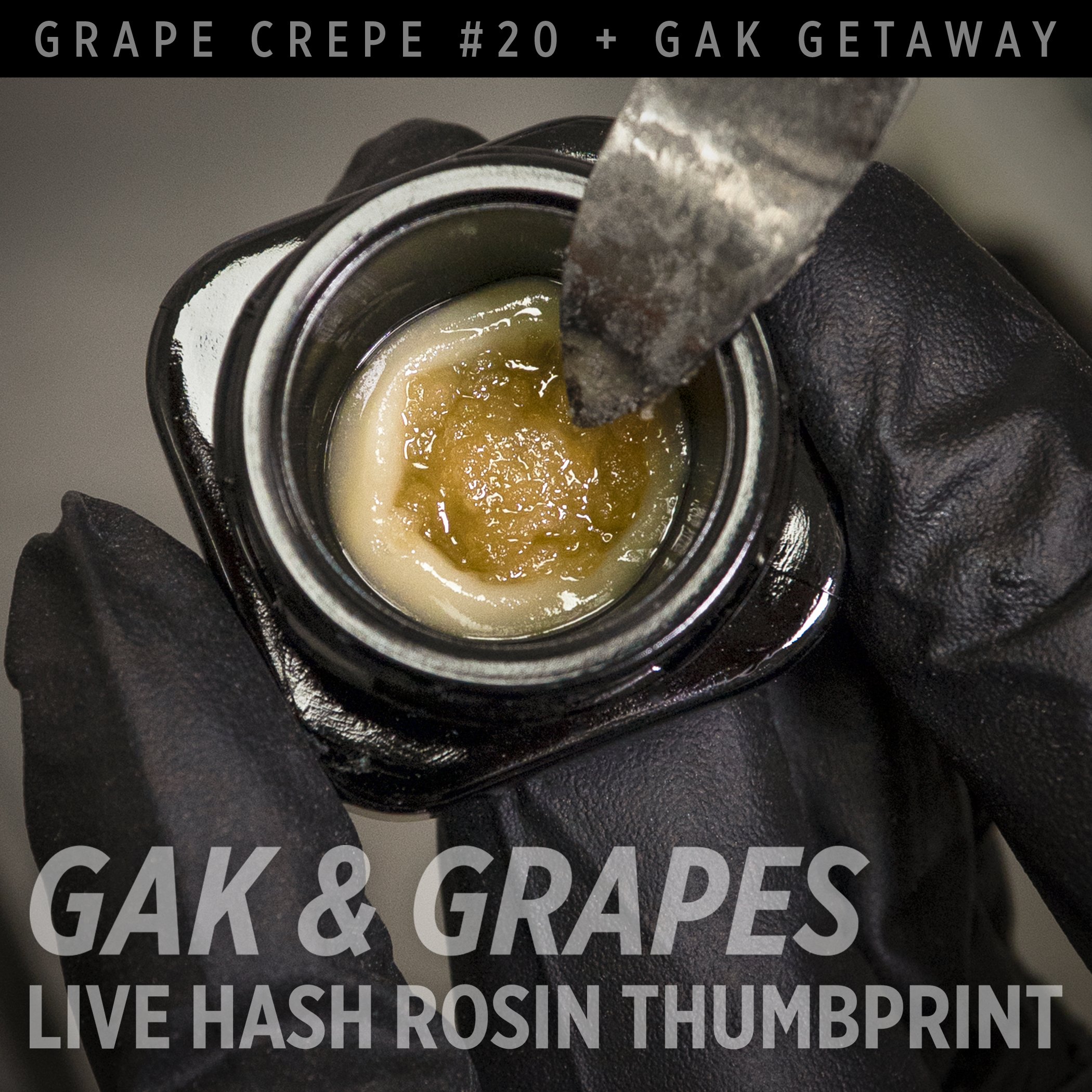 GAK &amp; GRAPES LIVE HASH ROSIN THUMBPRINT