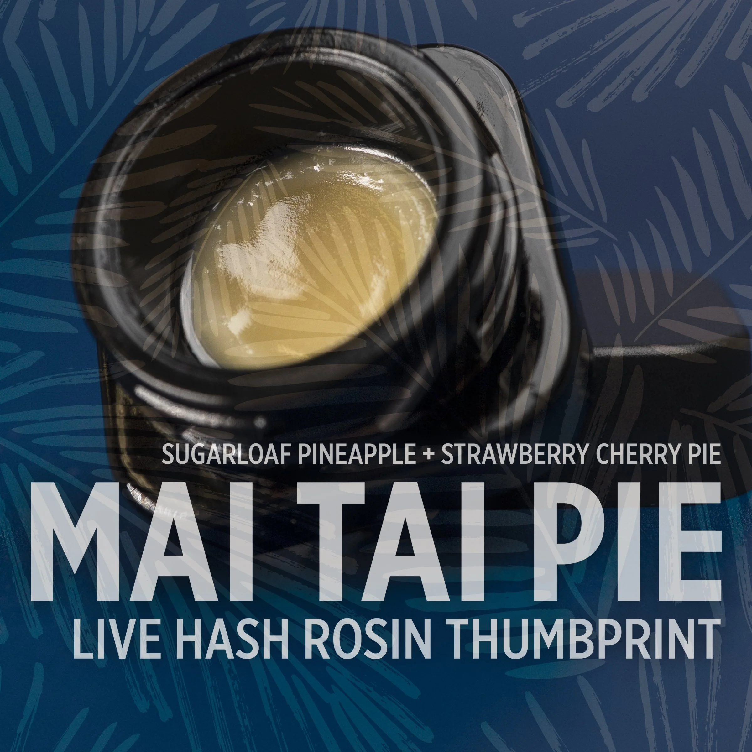 MAI TAI PIE LIVE HASH ROSIN THUMBPRINT