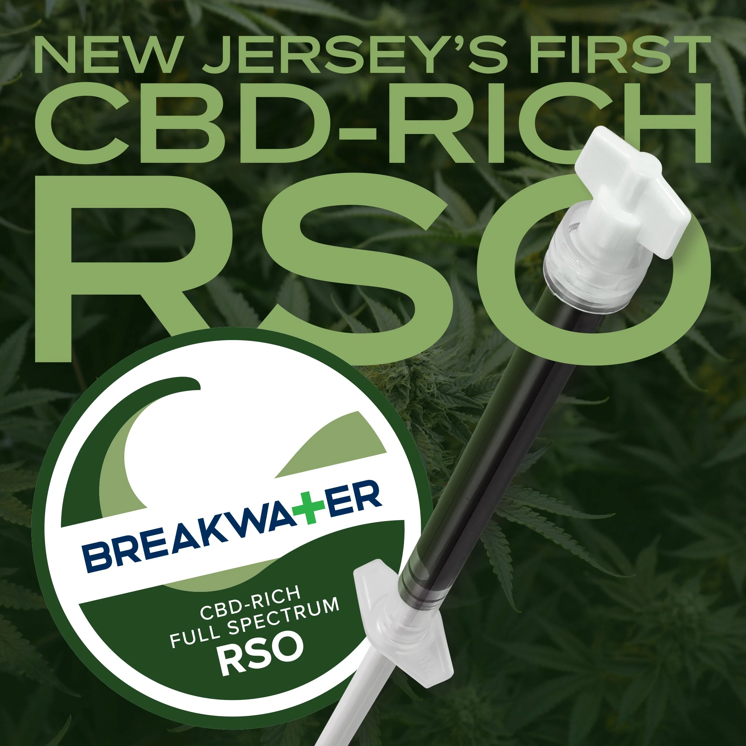 NJ’s First CBD-Rich RSO | Balanced Relief | Breakwater, NJ