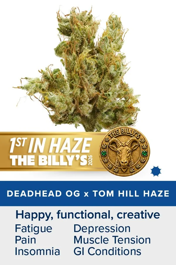 Deadhead OG x Tom Hill Haze Premium Flower. Daytime Strain. Happy, functional, creative. Helpful for fatigue, pain, insomnia, depression, muscle tension, GI conditions. Link to full description. Award-winning - 1st in haze at the Billy Awards 2026.