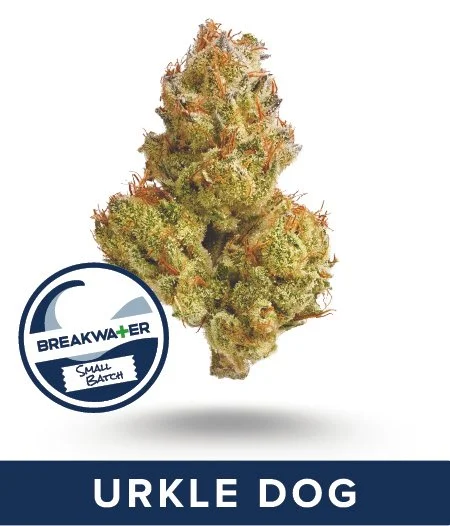 URKLE DOG Premium Flower. Small Batch Strain. Link to full description.